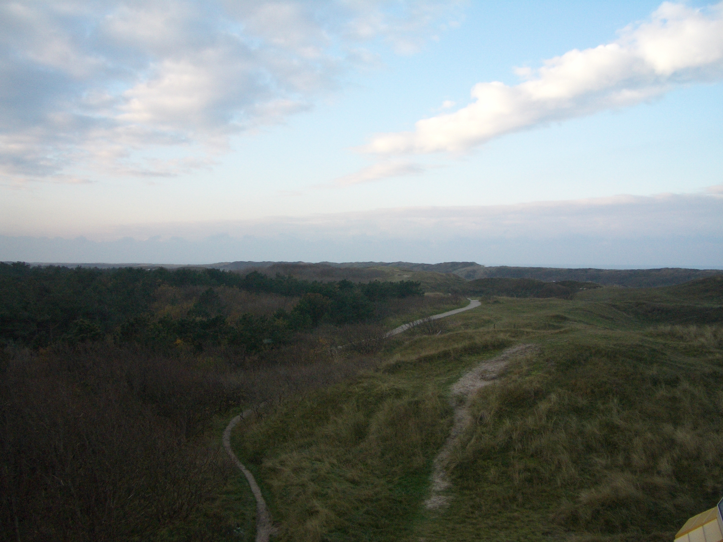 Texel