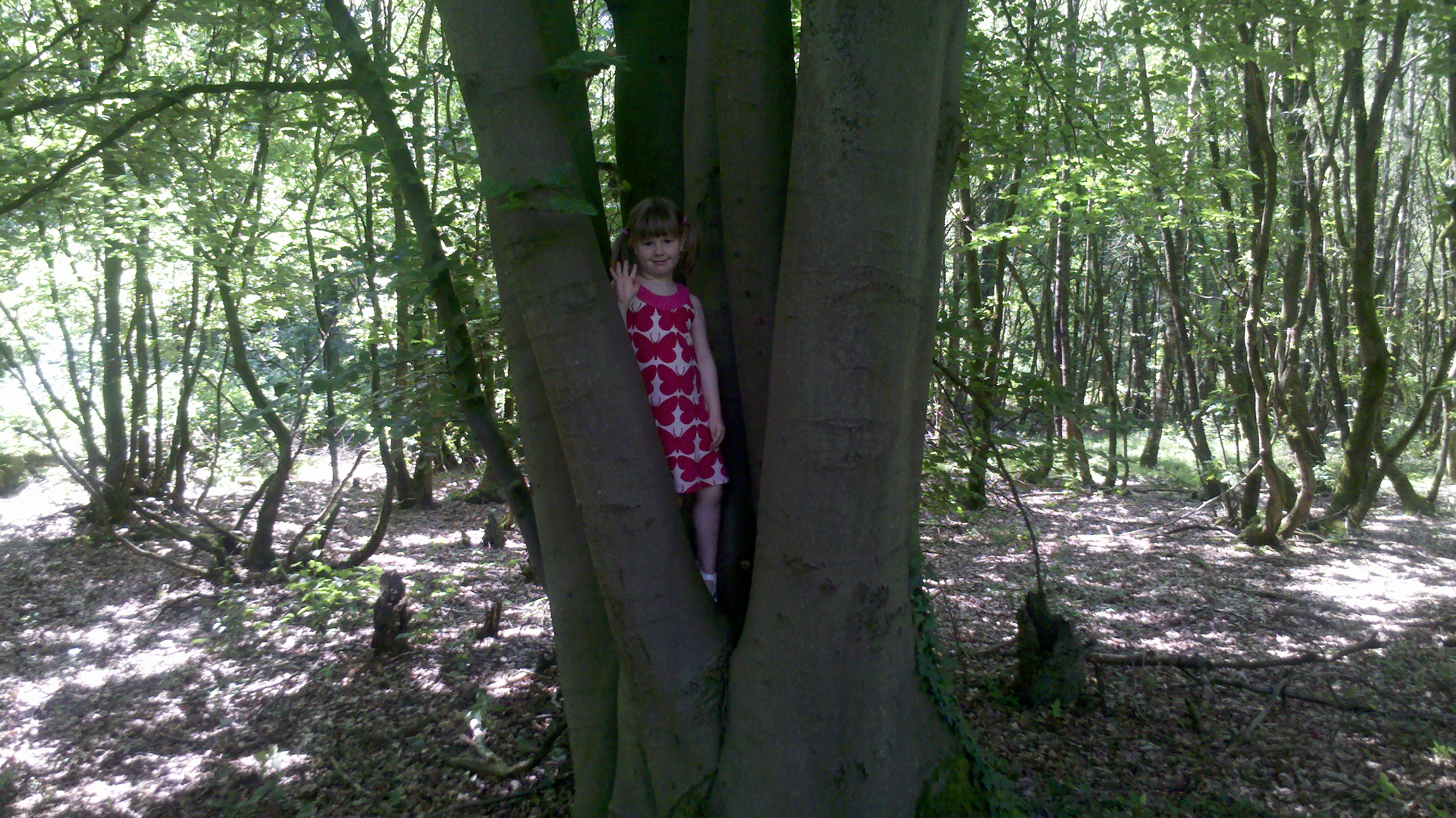 2012 05 27 13 21 25 685