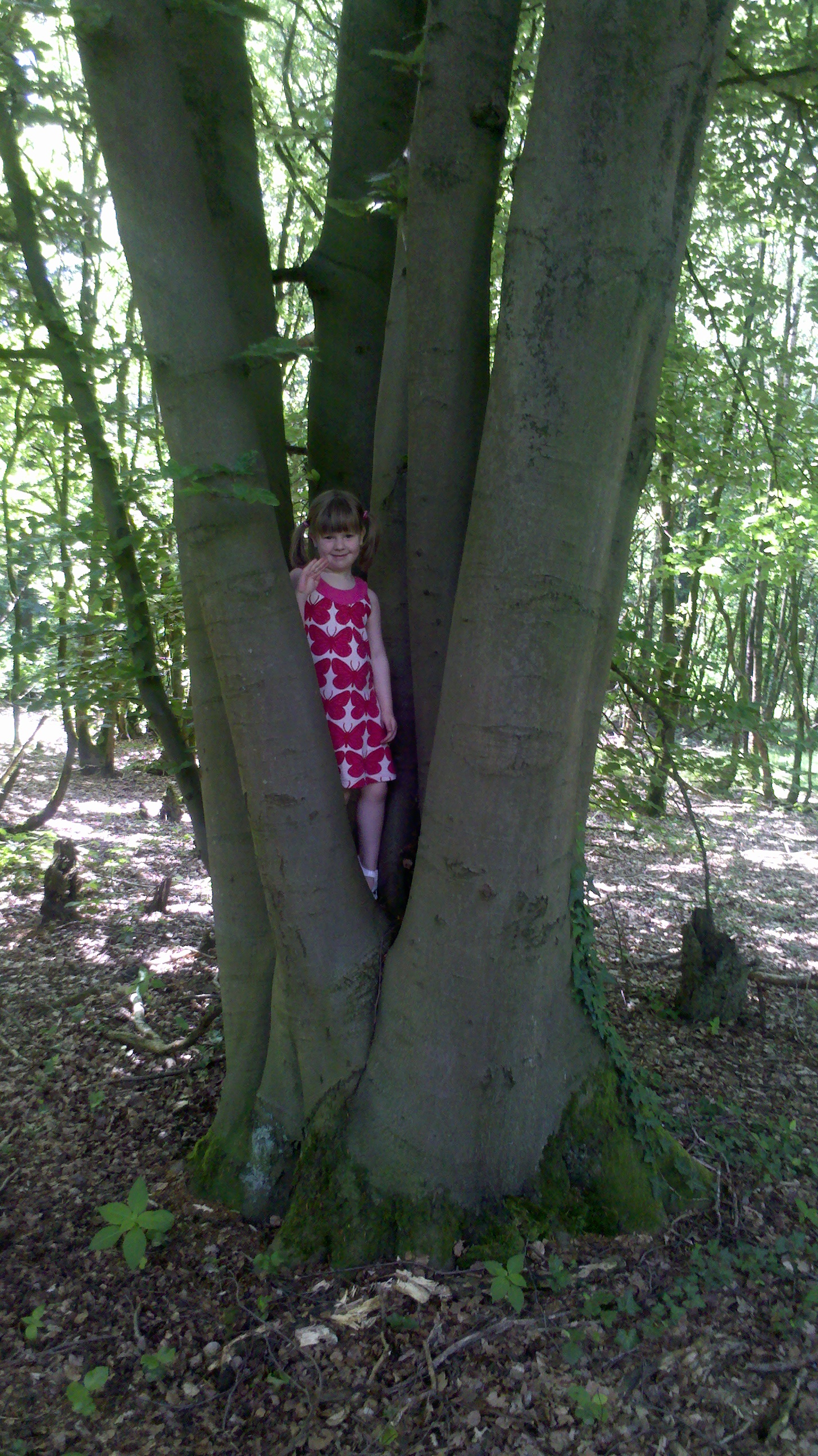 2012 05 27 13 21 29 880