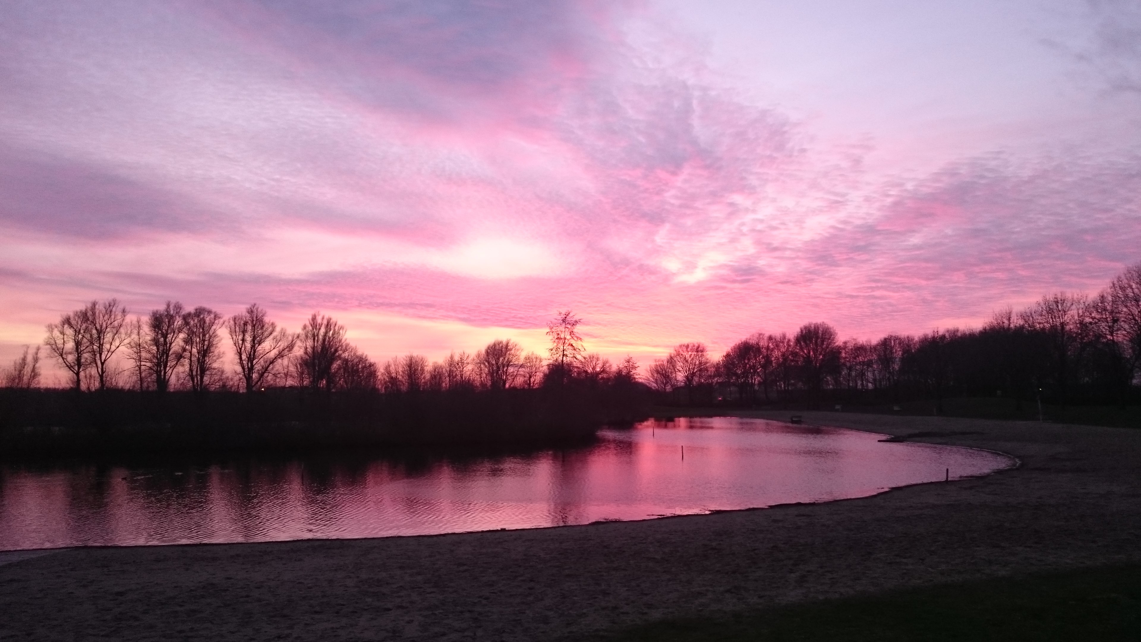 DSC 0139 renamed 4184