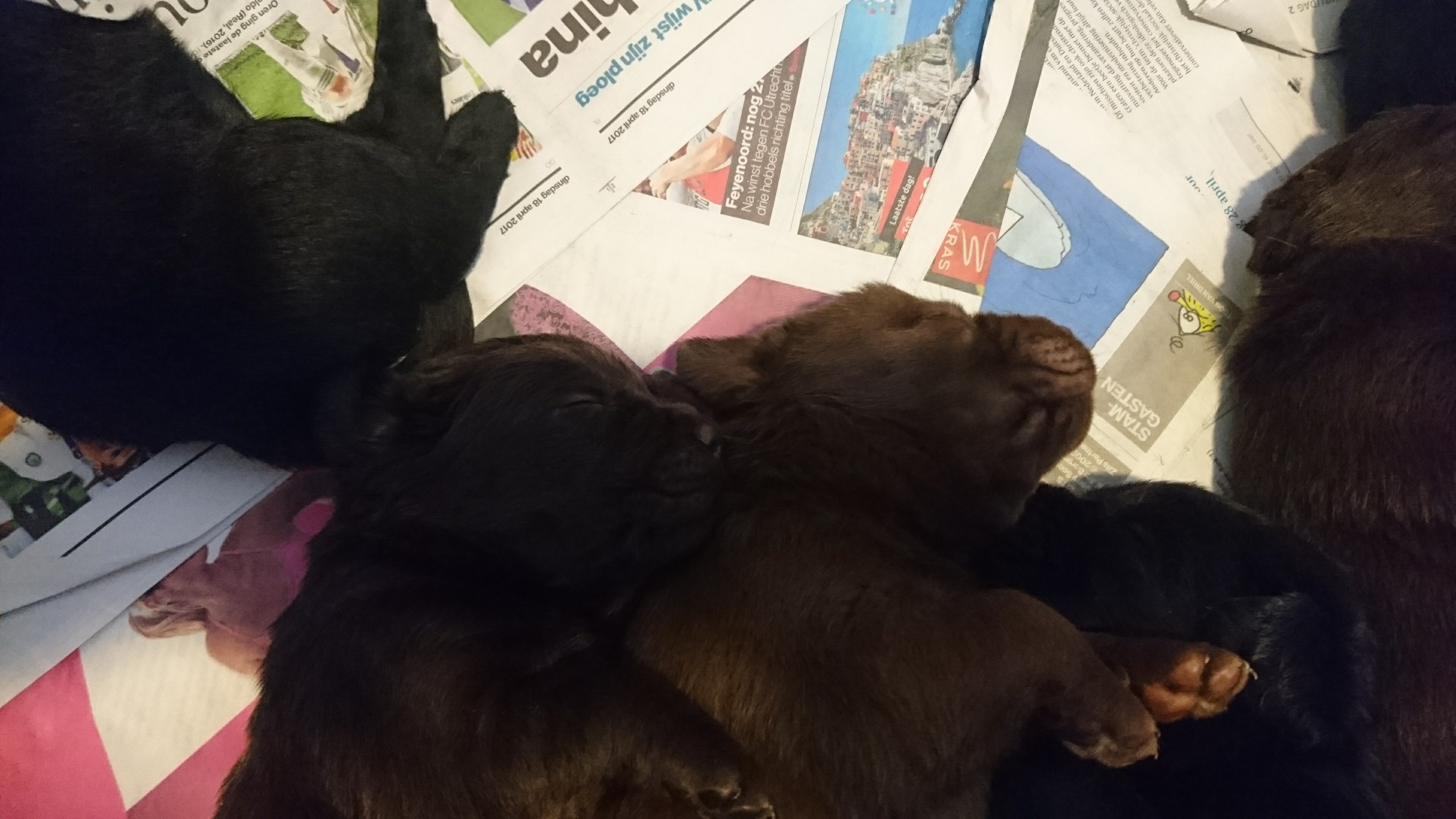 DSC 0038 renamed 13512