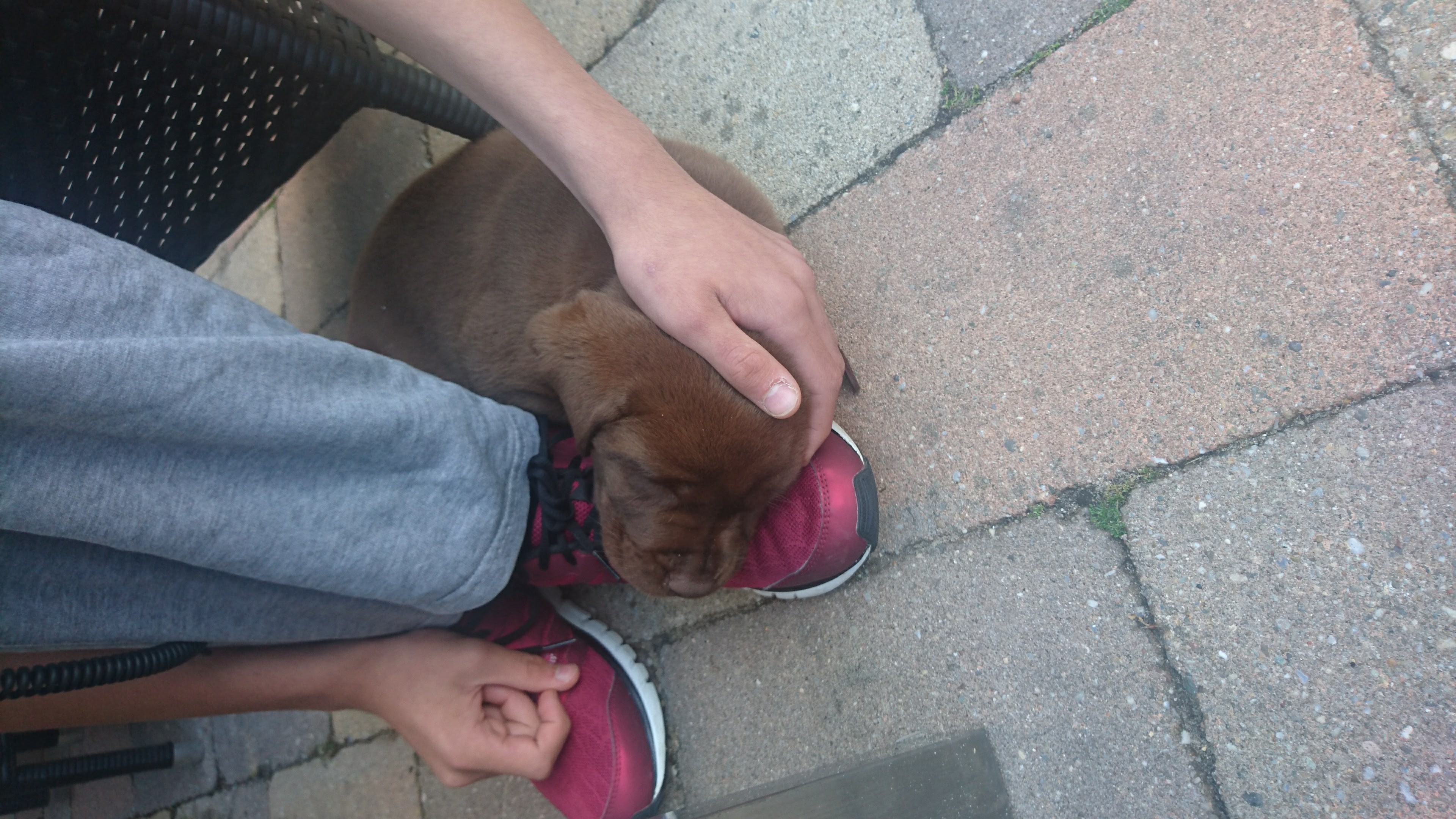 DSC 0063 renamed 117