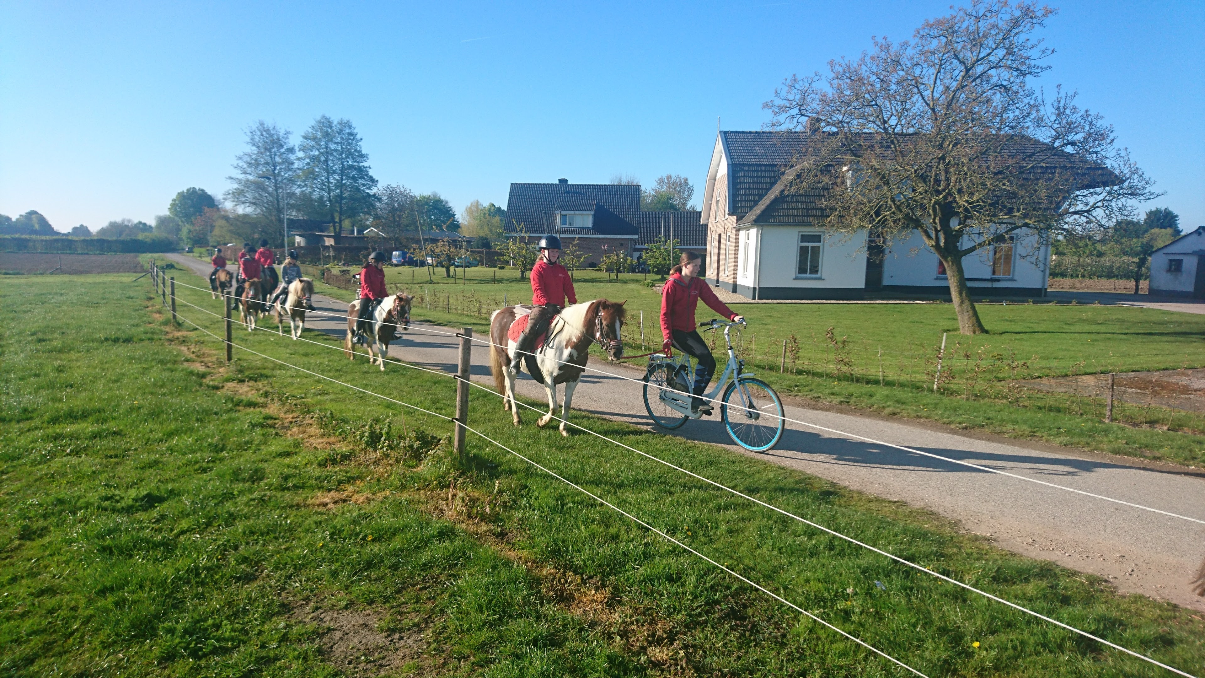 DSC 0103 renamed 14021