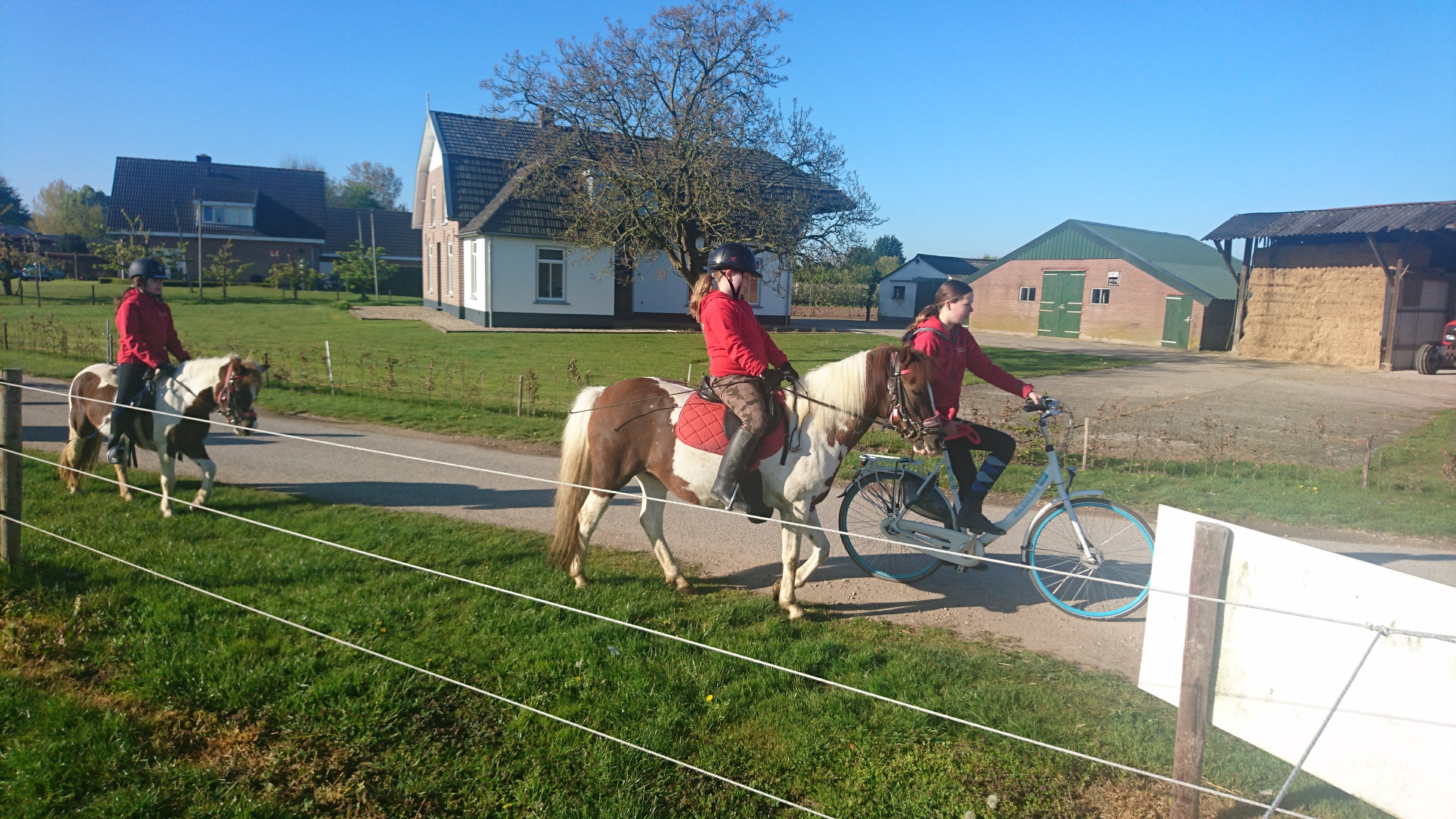 DSC 0105 renamed 29679