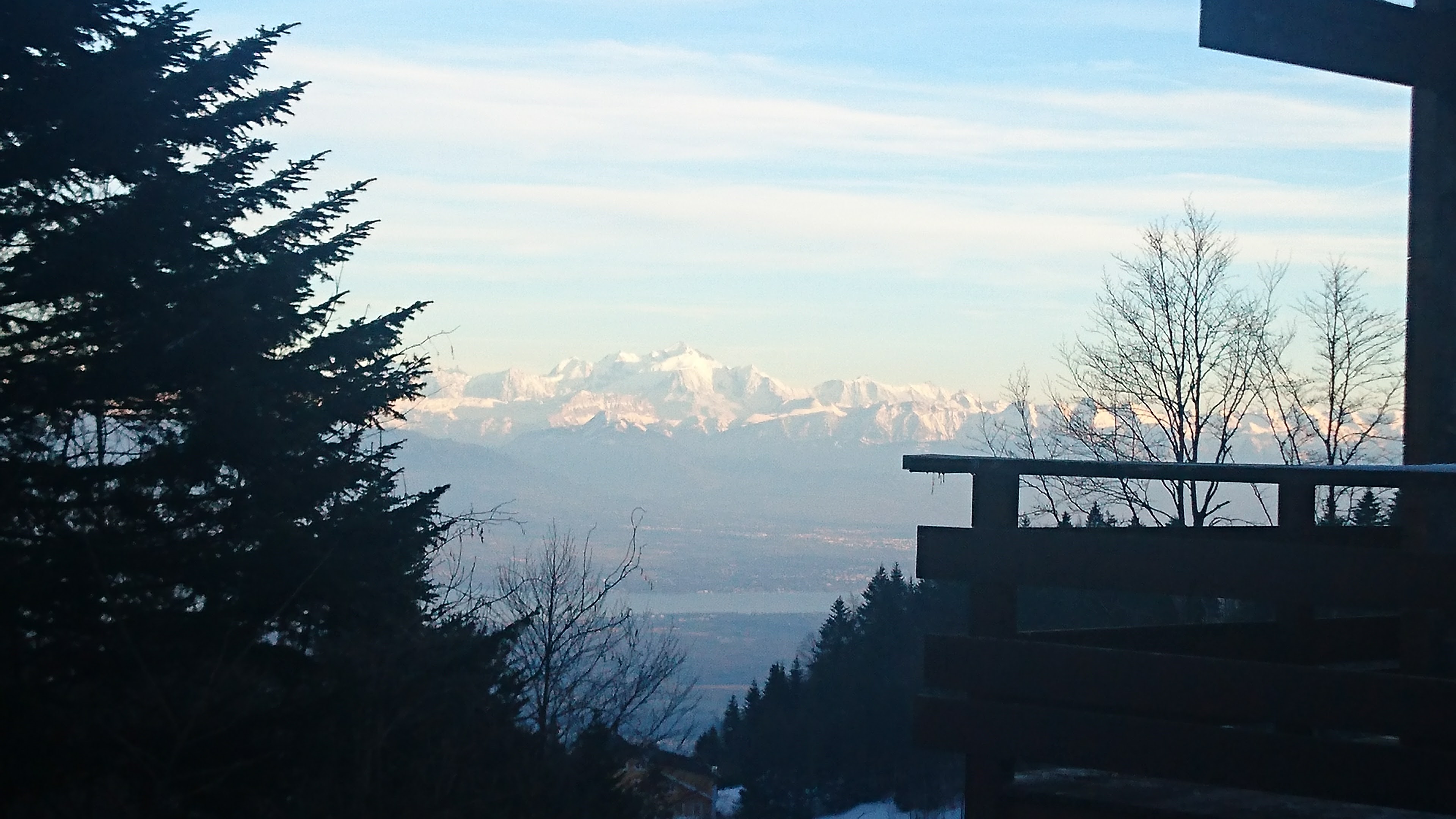 DSC 0375 renamed 19231