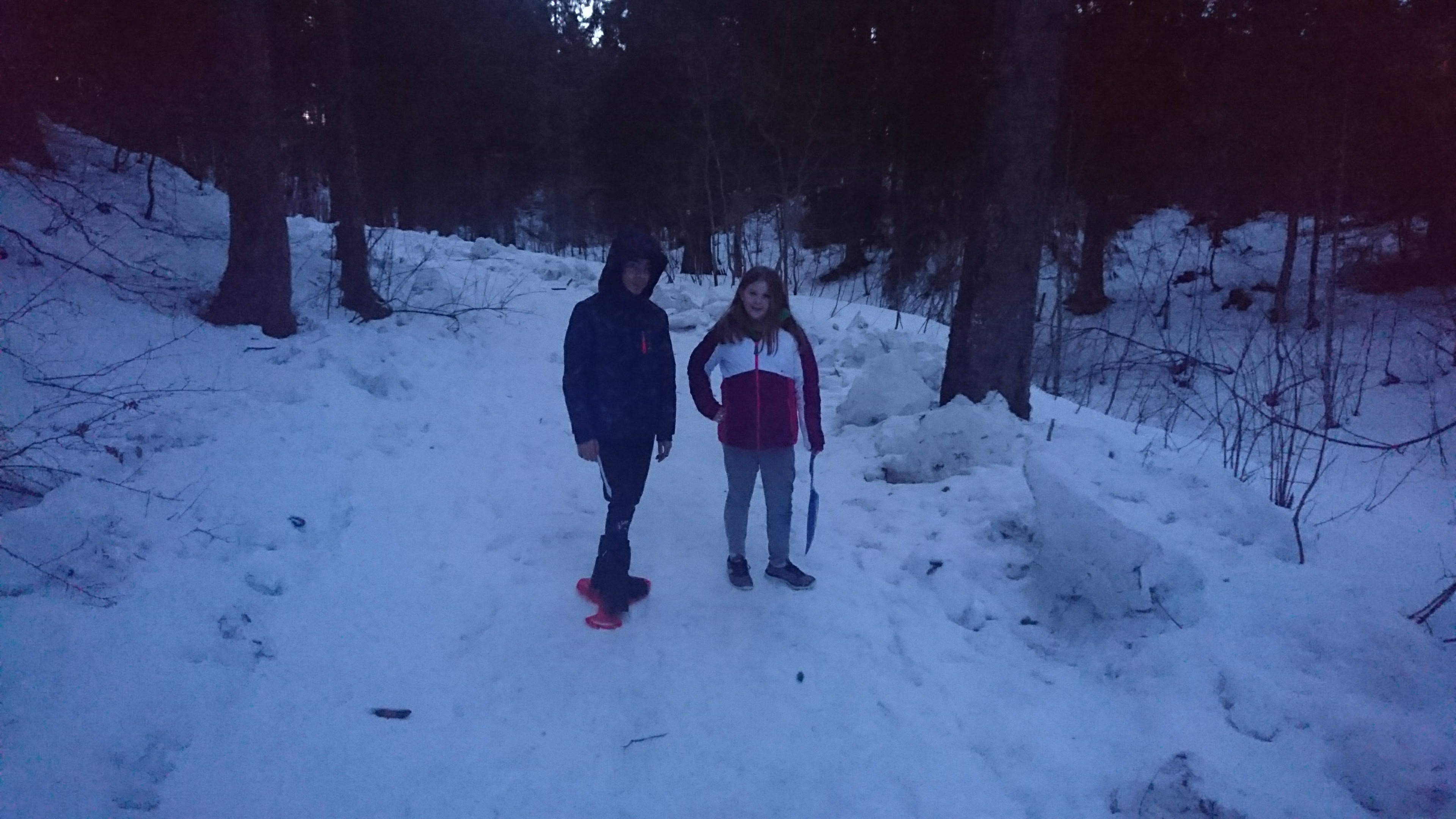 DSC 0378 renamed 12241