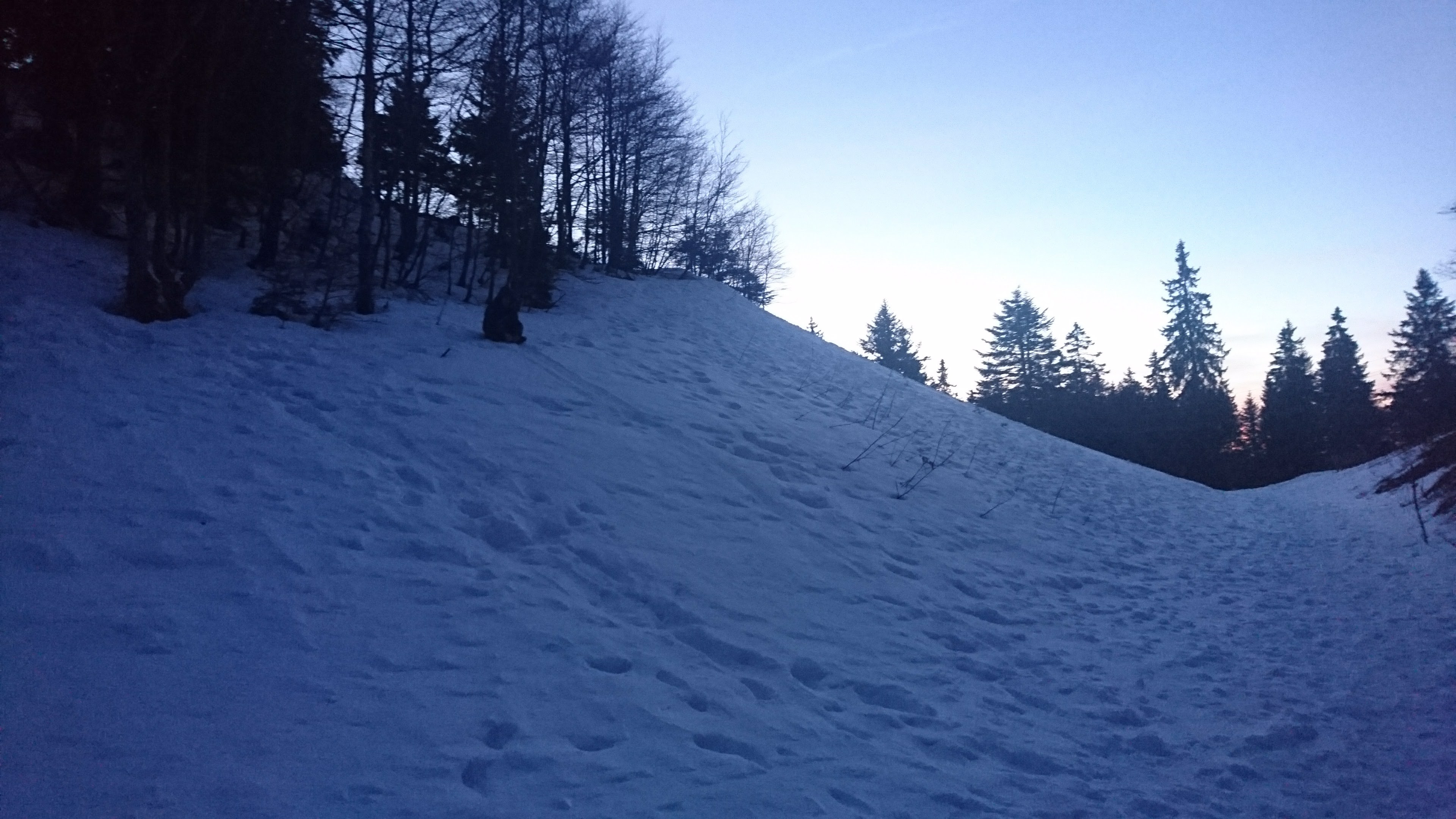 DSC 0382 renamed 6285