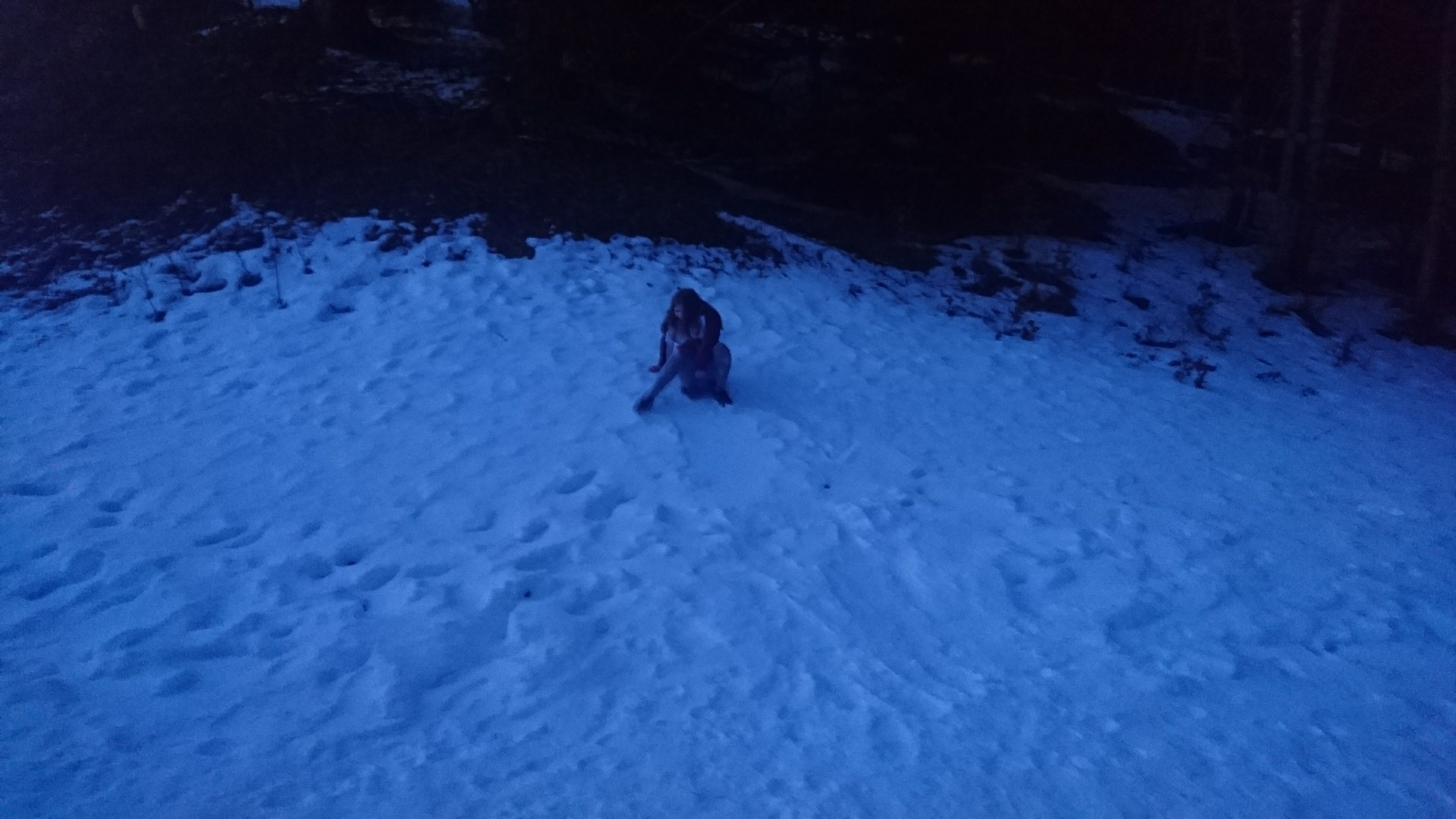 DSC 0387 renamed 31529