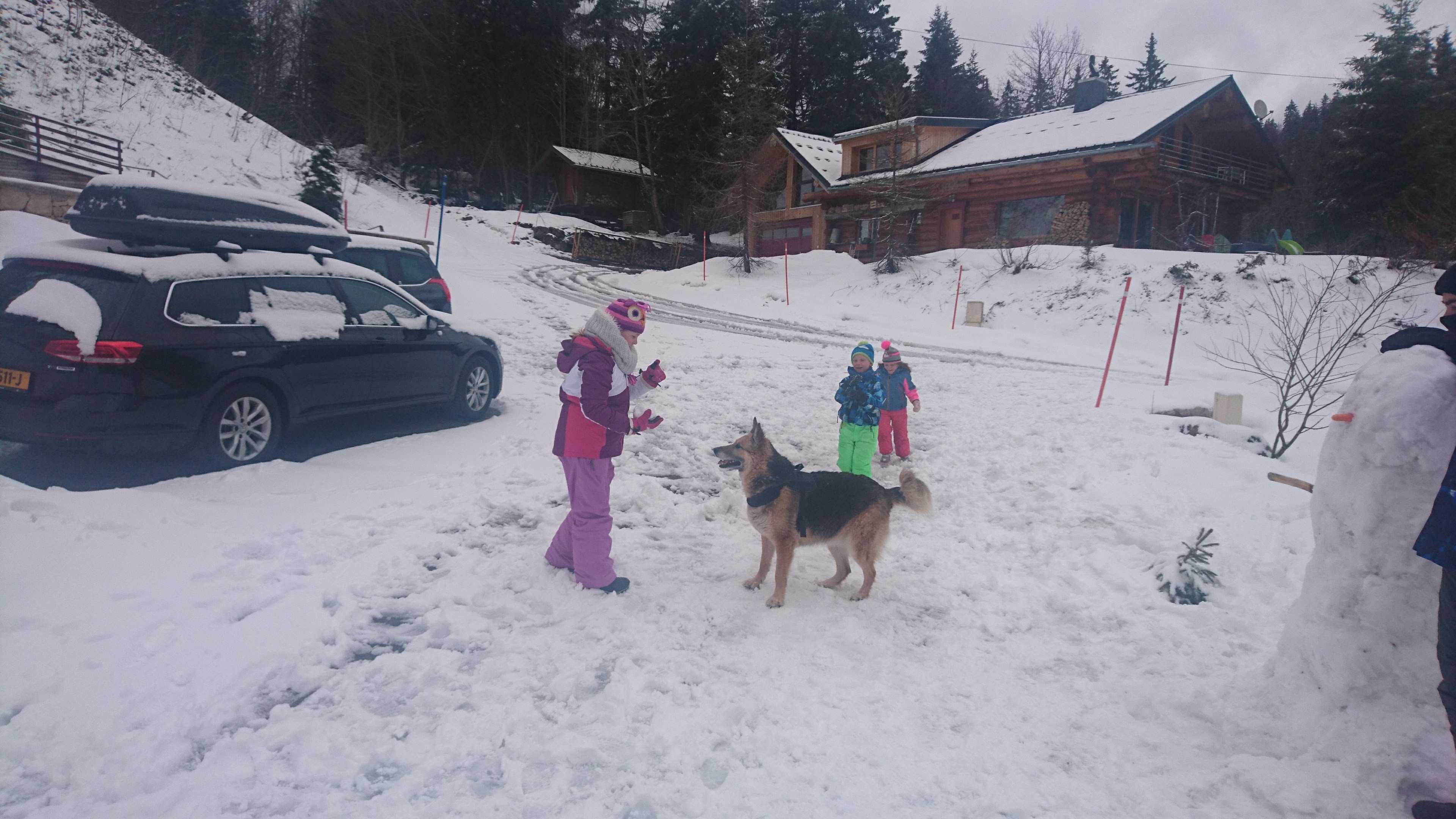 DSC 0402 renamed 25341