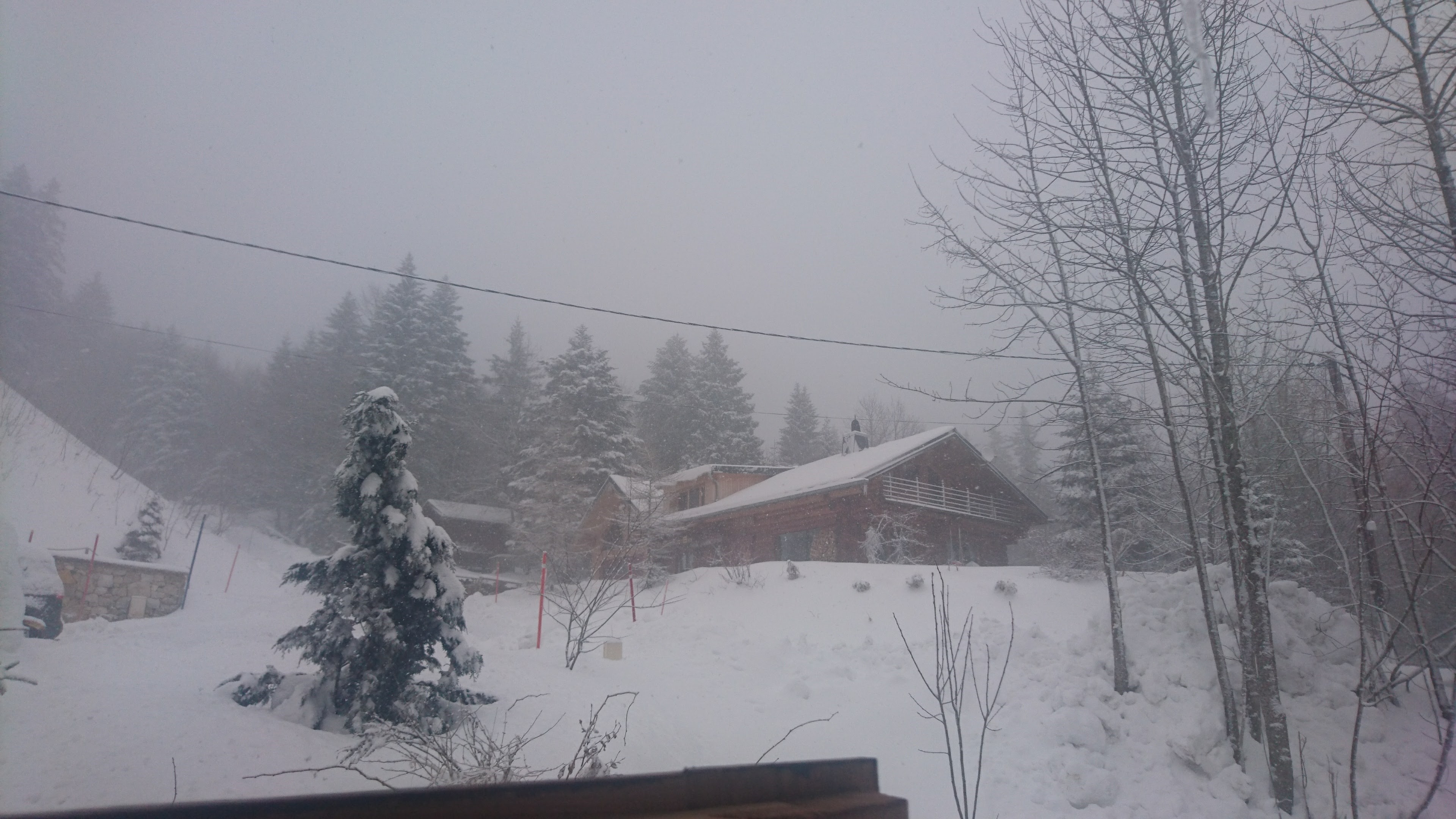 DSC 0410 renamed 26585