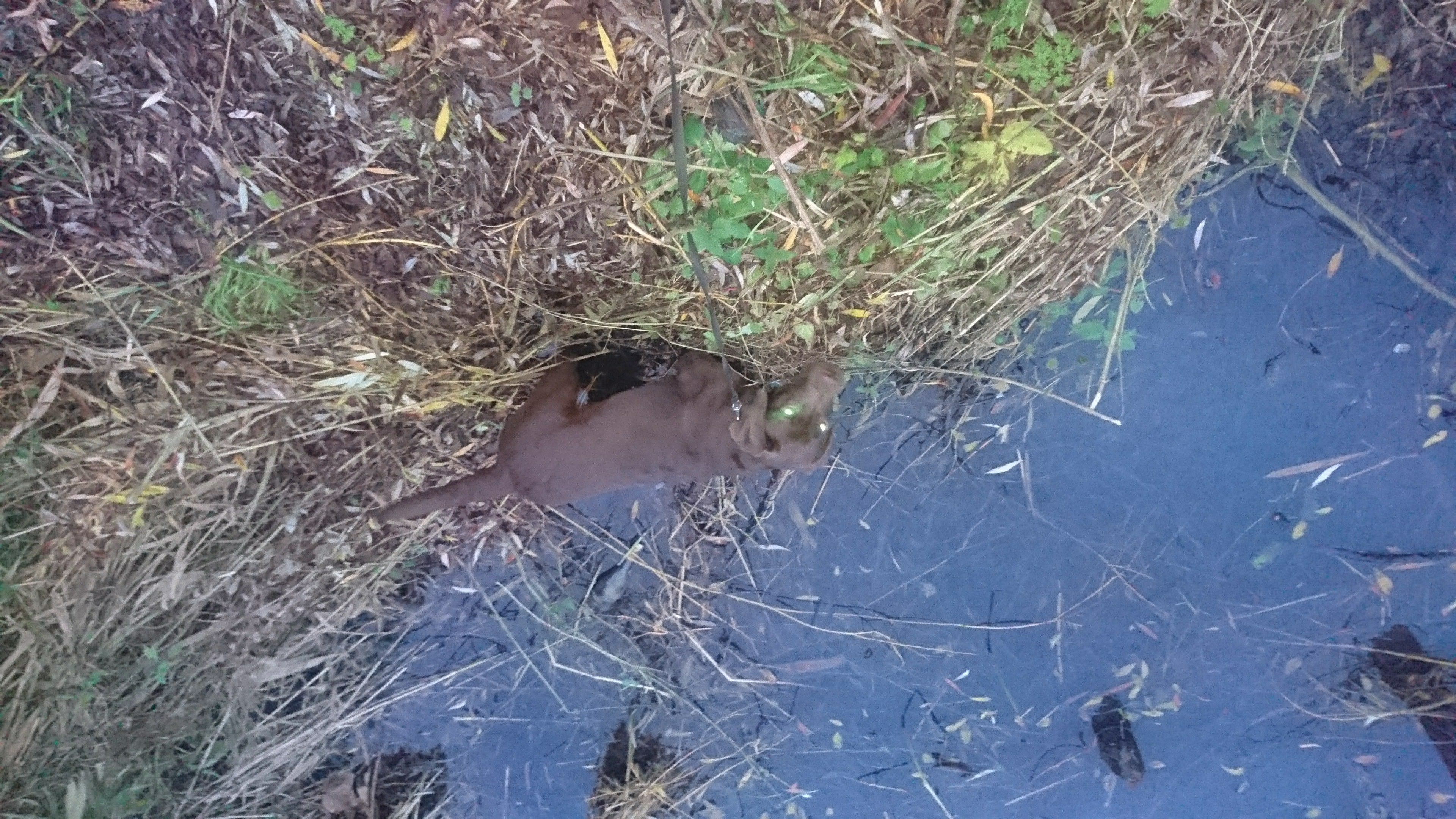 DSC 0820 renamed 6928