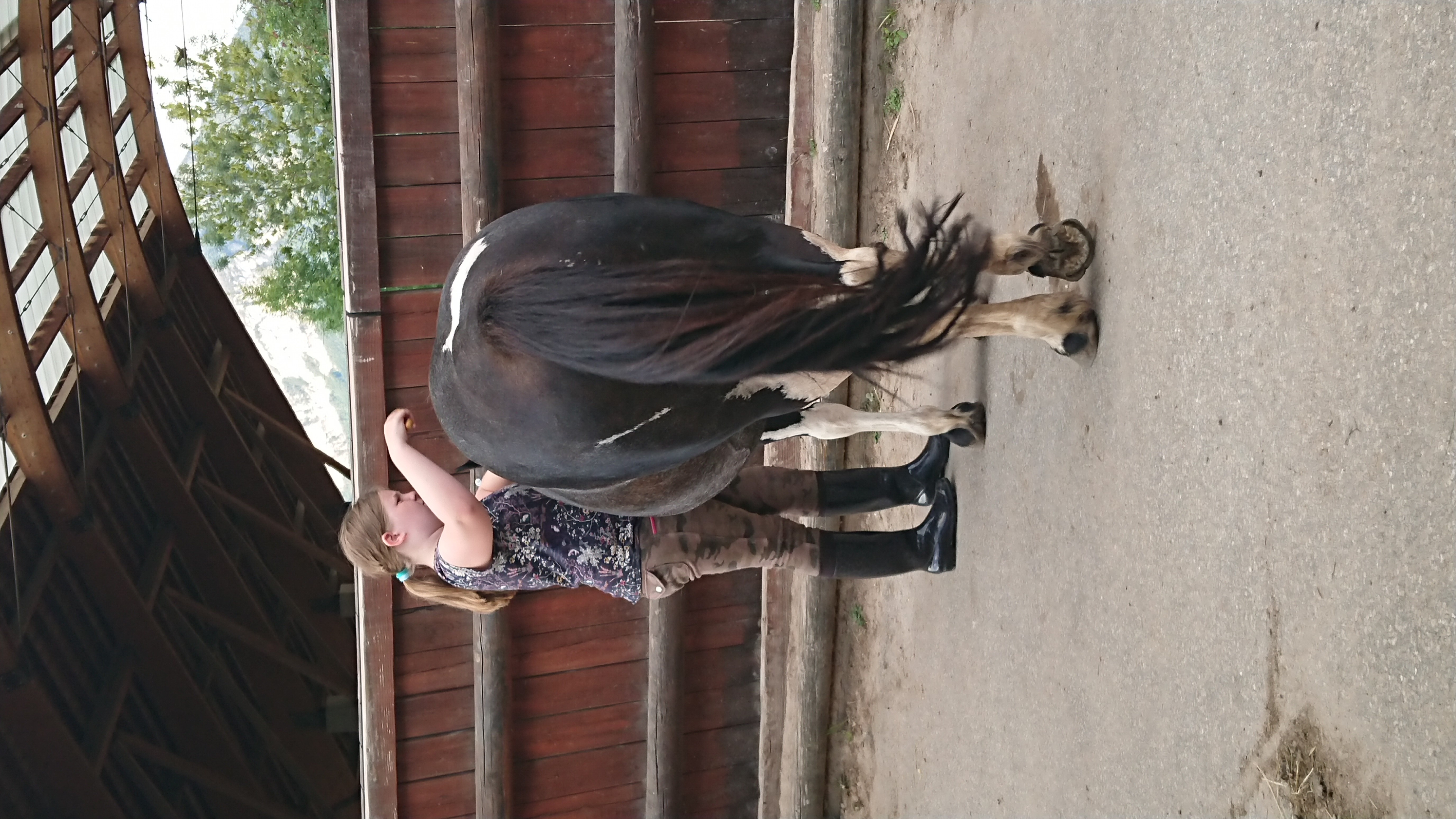 DSCPDC 0001 BURST20180817192102904