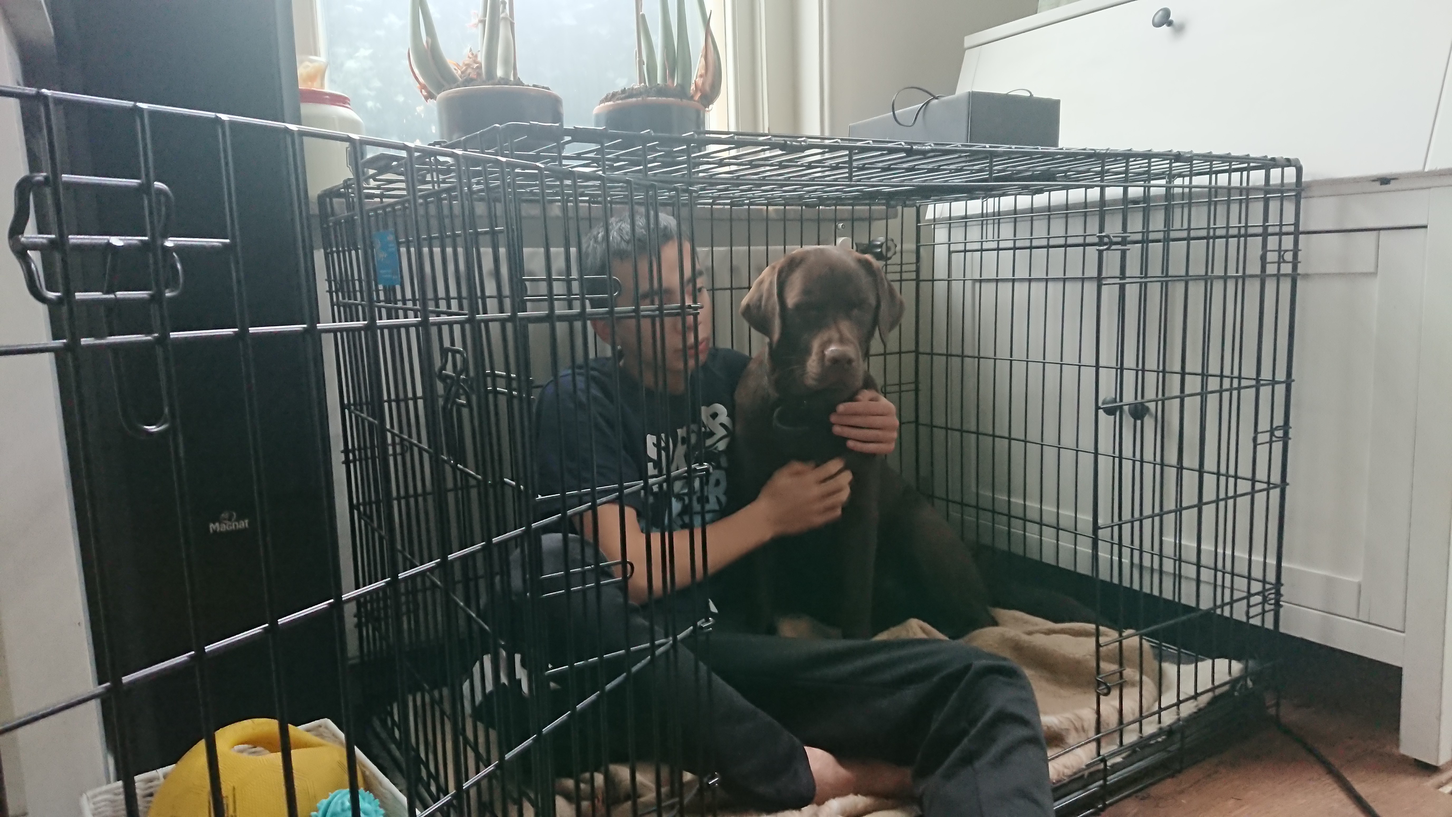 DSC 0029 renamed 27726