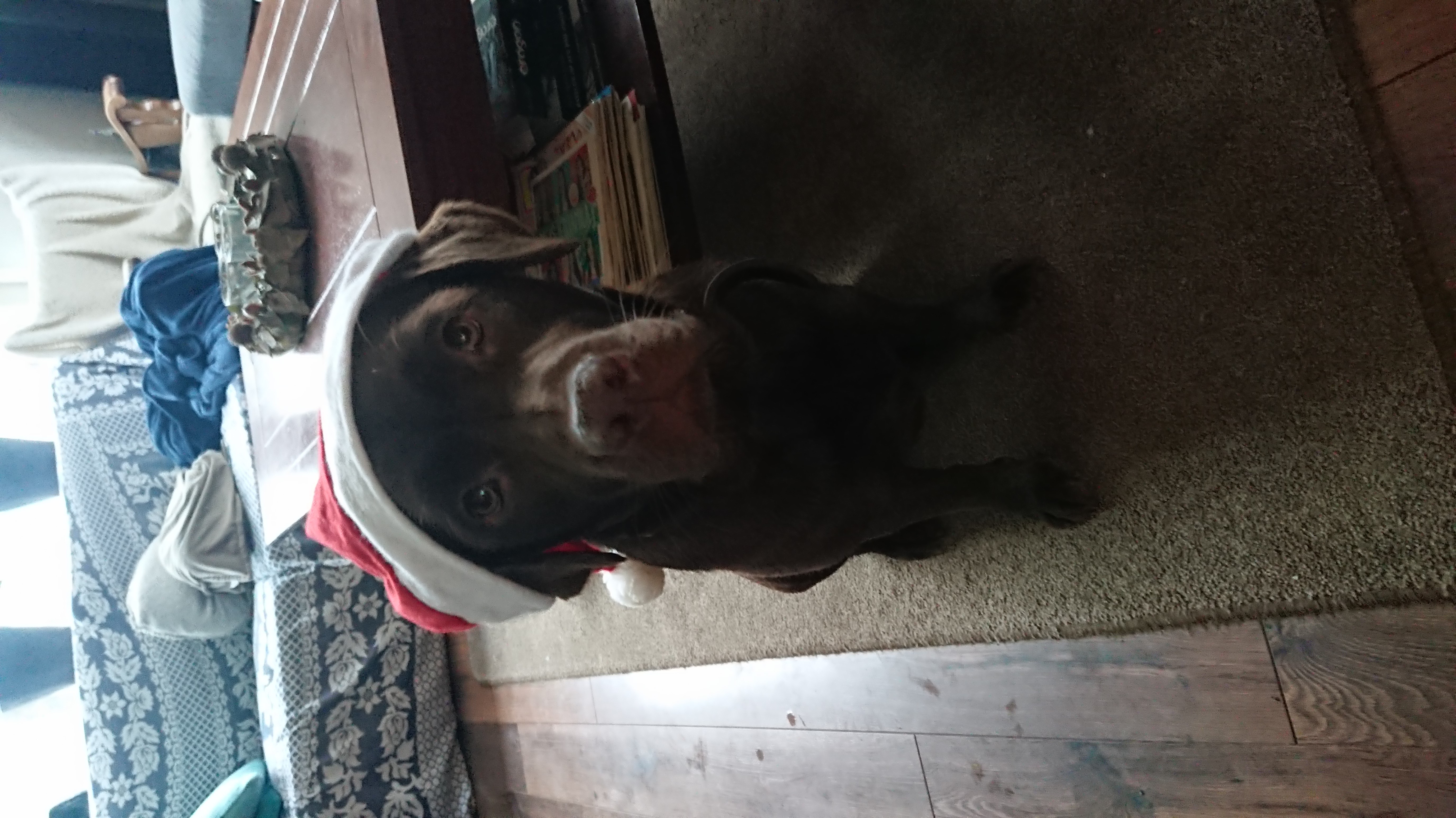 DSC 0044 renamed 13059