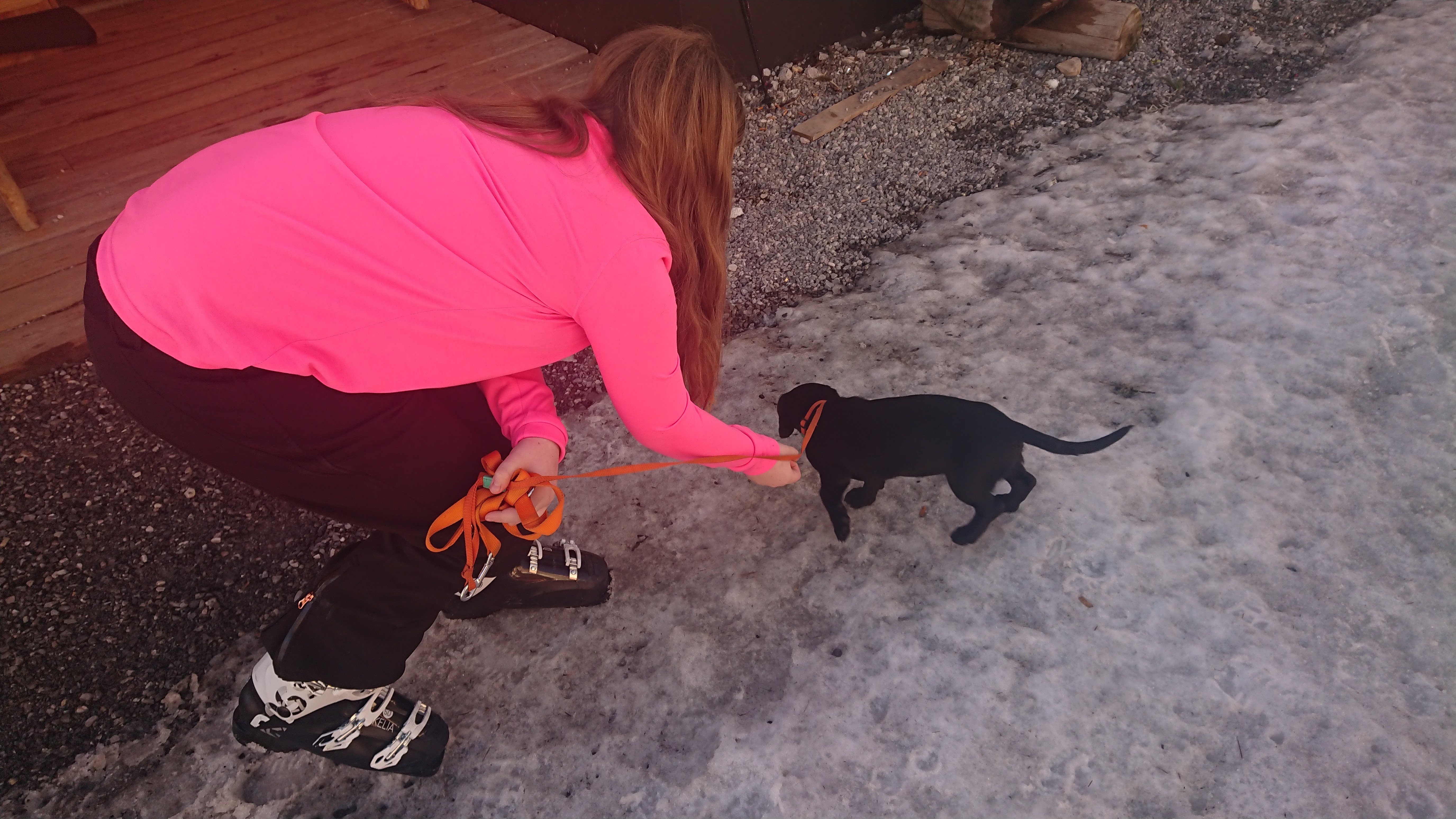 DSC 0038 renamed 16391