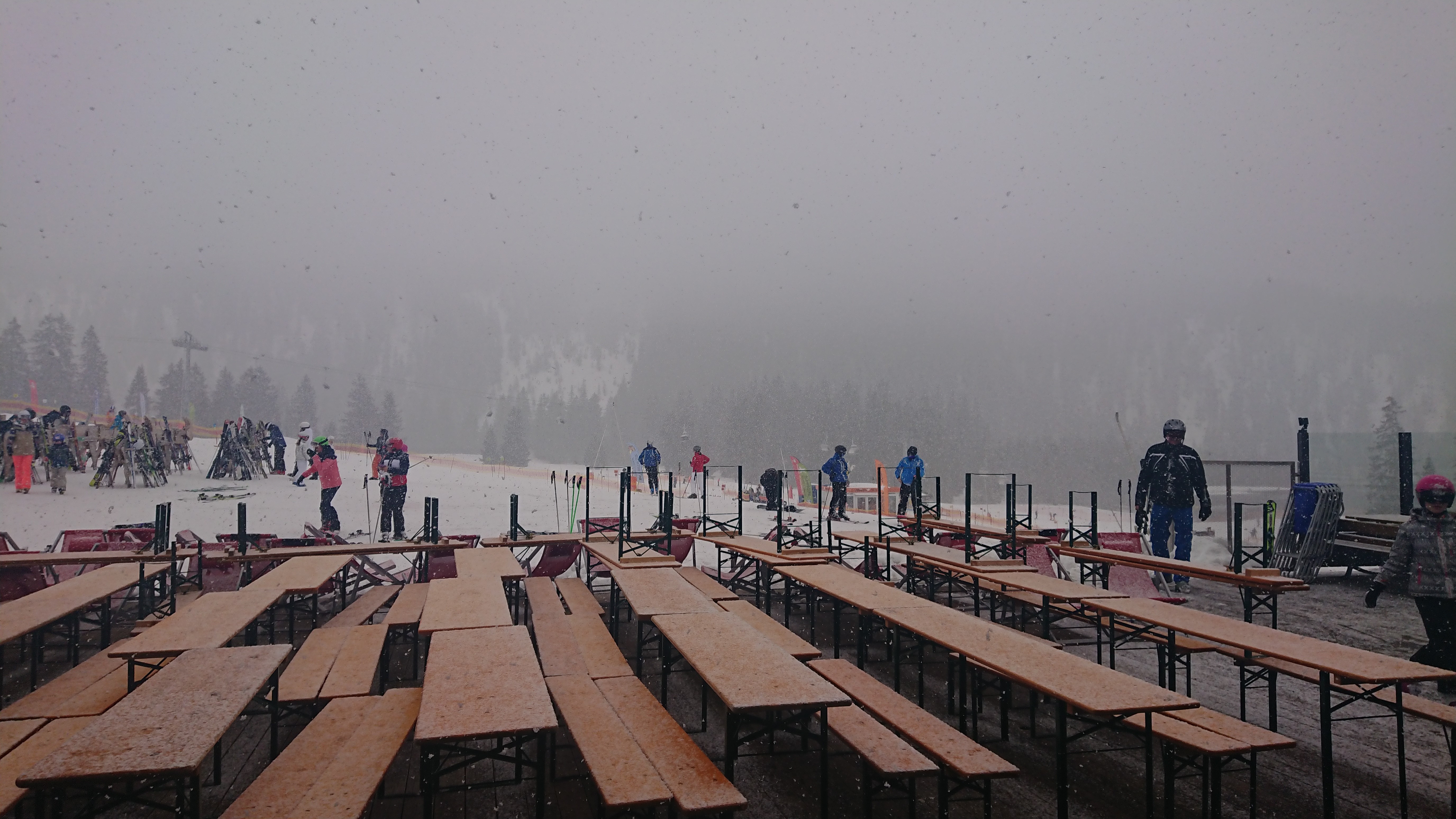 DSC 0051 renamed 12172