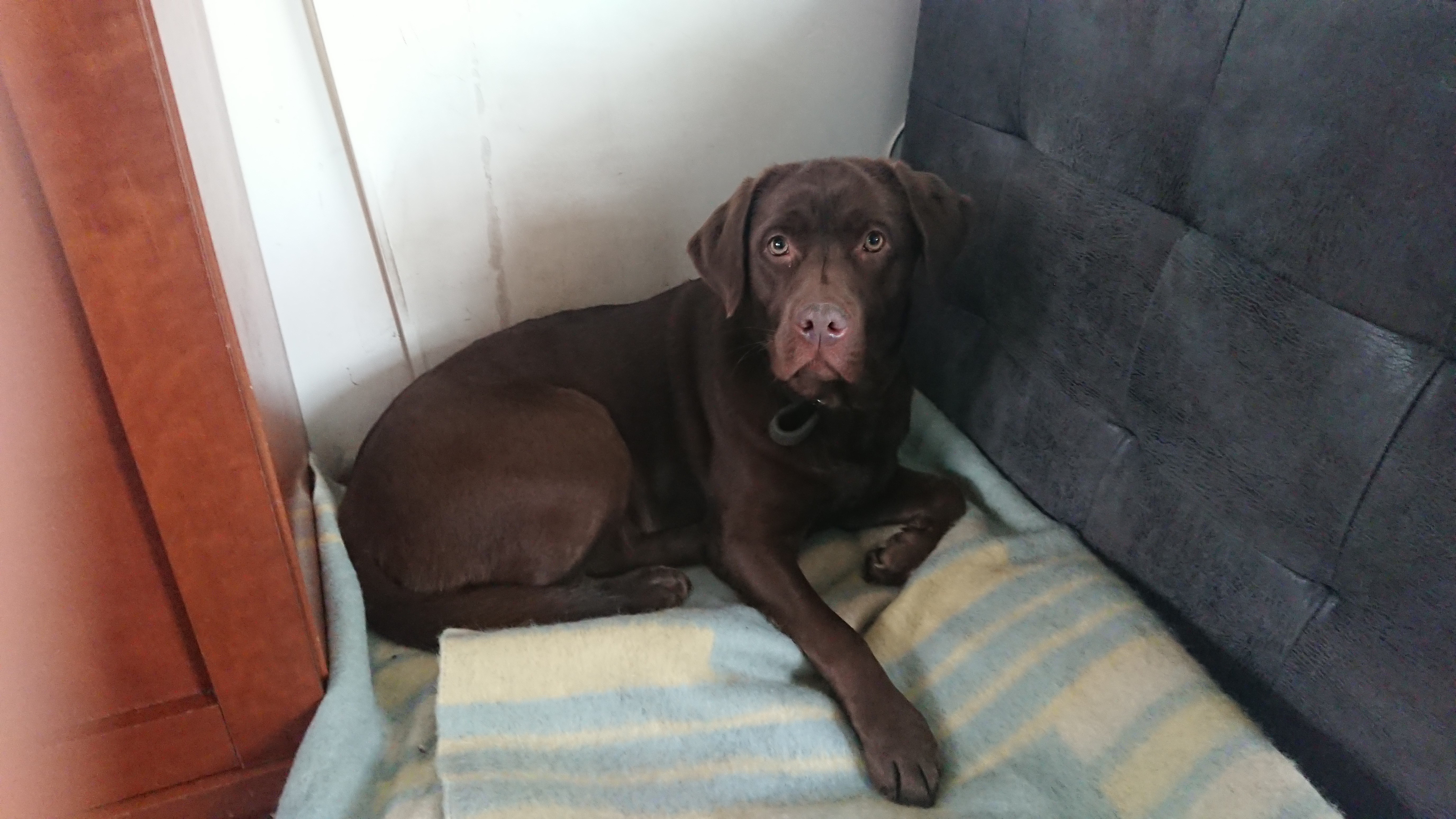 DSC 0071 renamed 7972