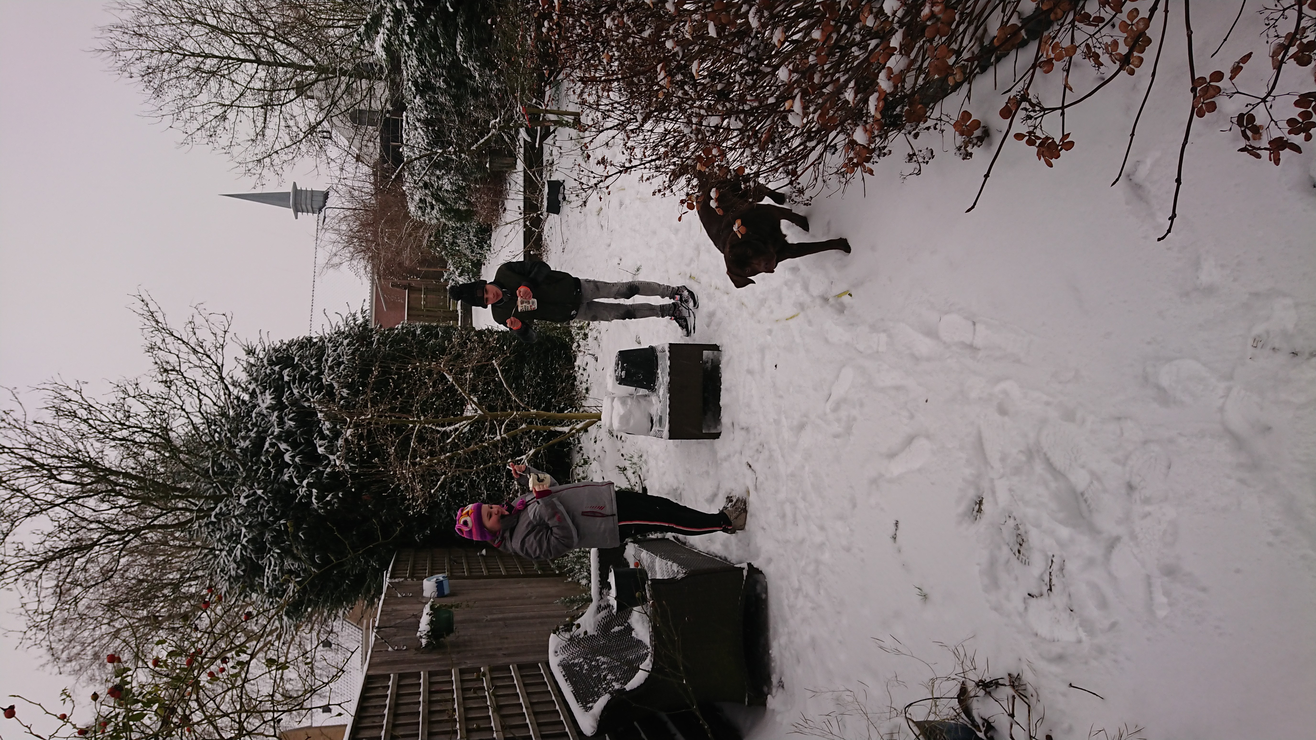 DSC 0096 renamed 14108