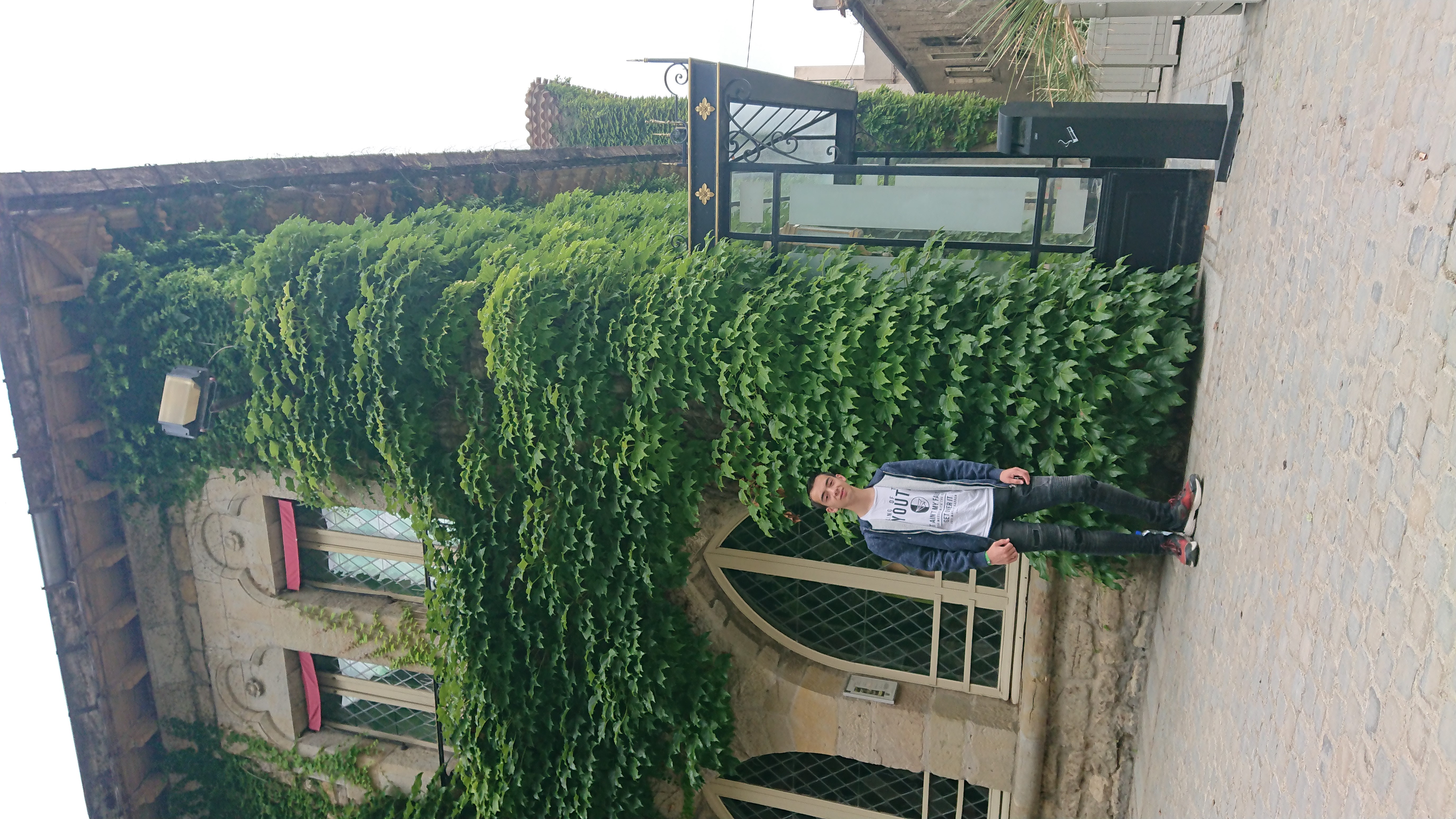 DSC 0383 renamed 29312