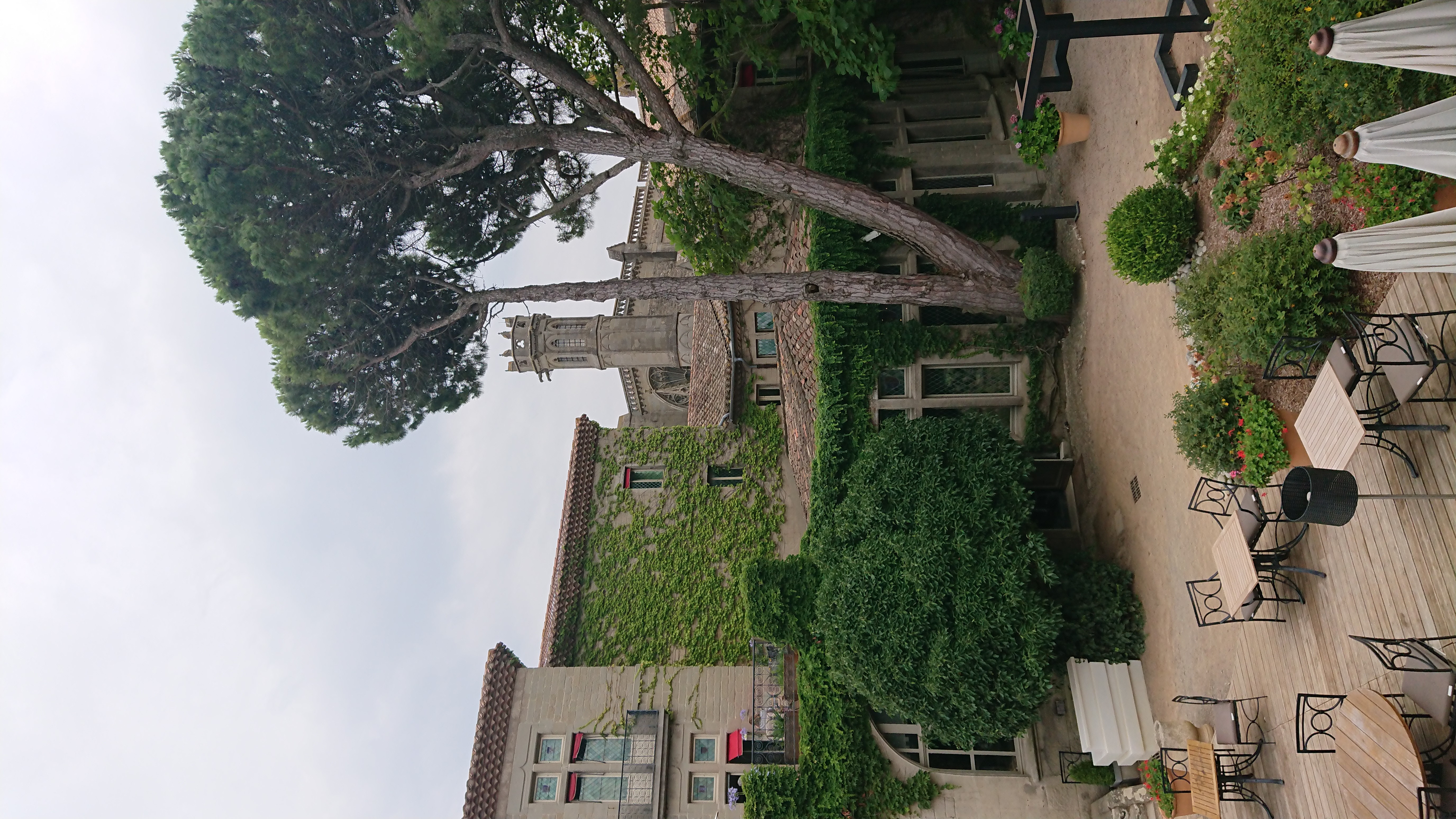 DSC 0390 renamed 2895