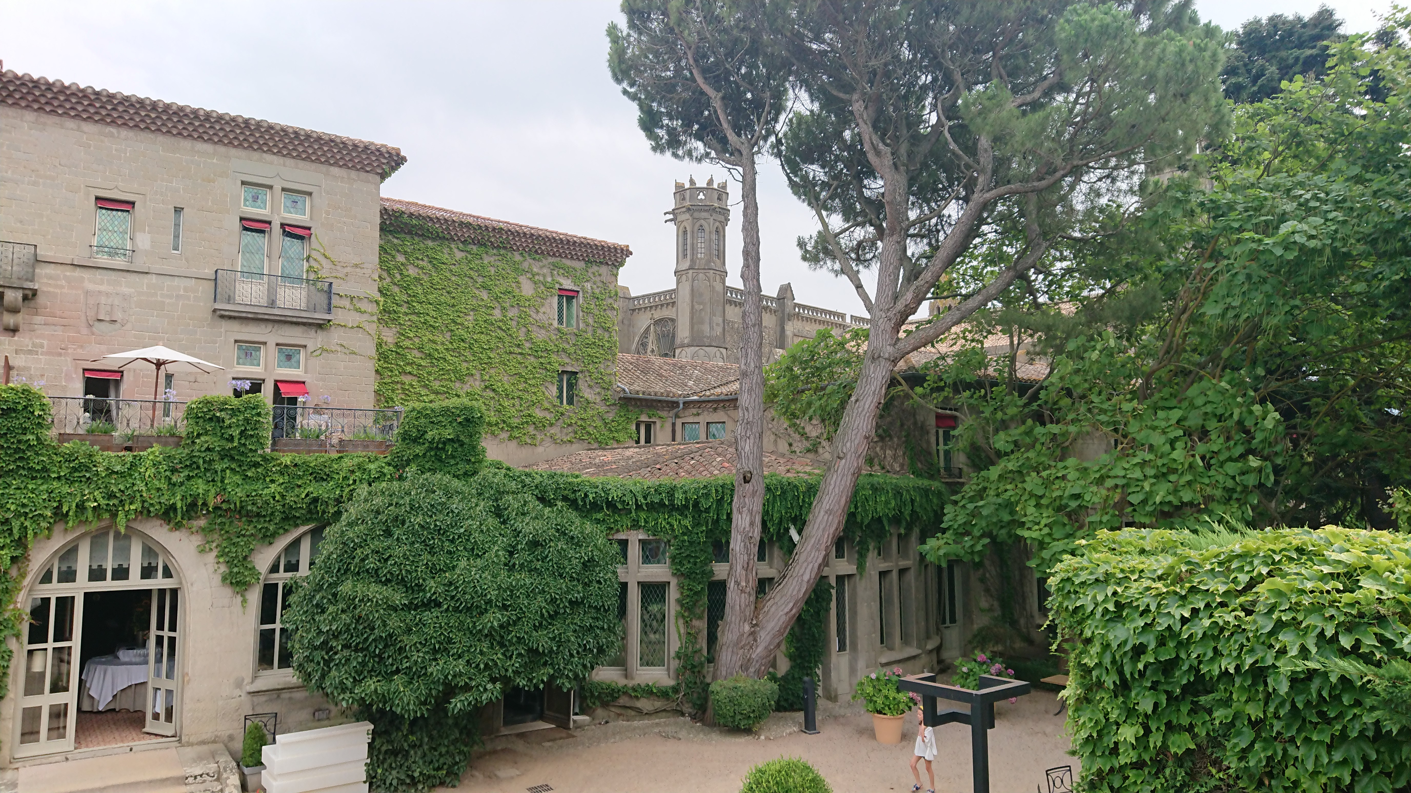 DSC 0392 renamed 25661