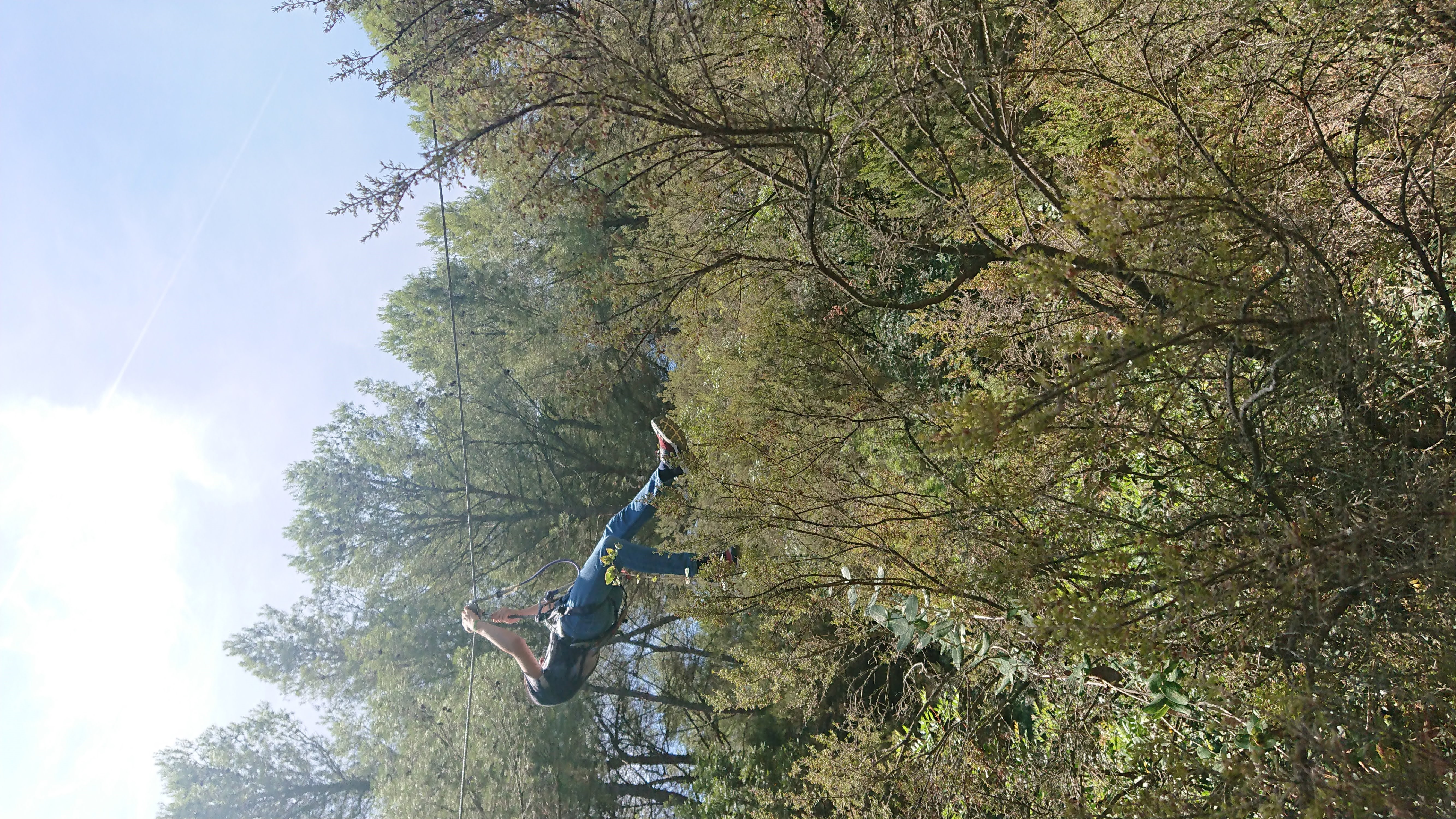 DSC 0404 renamed 7175