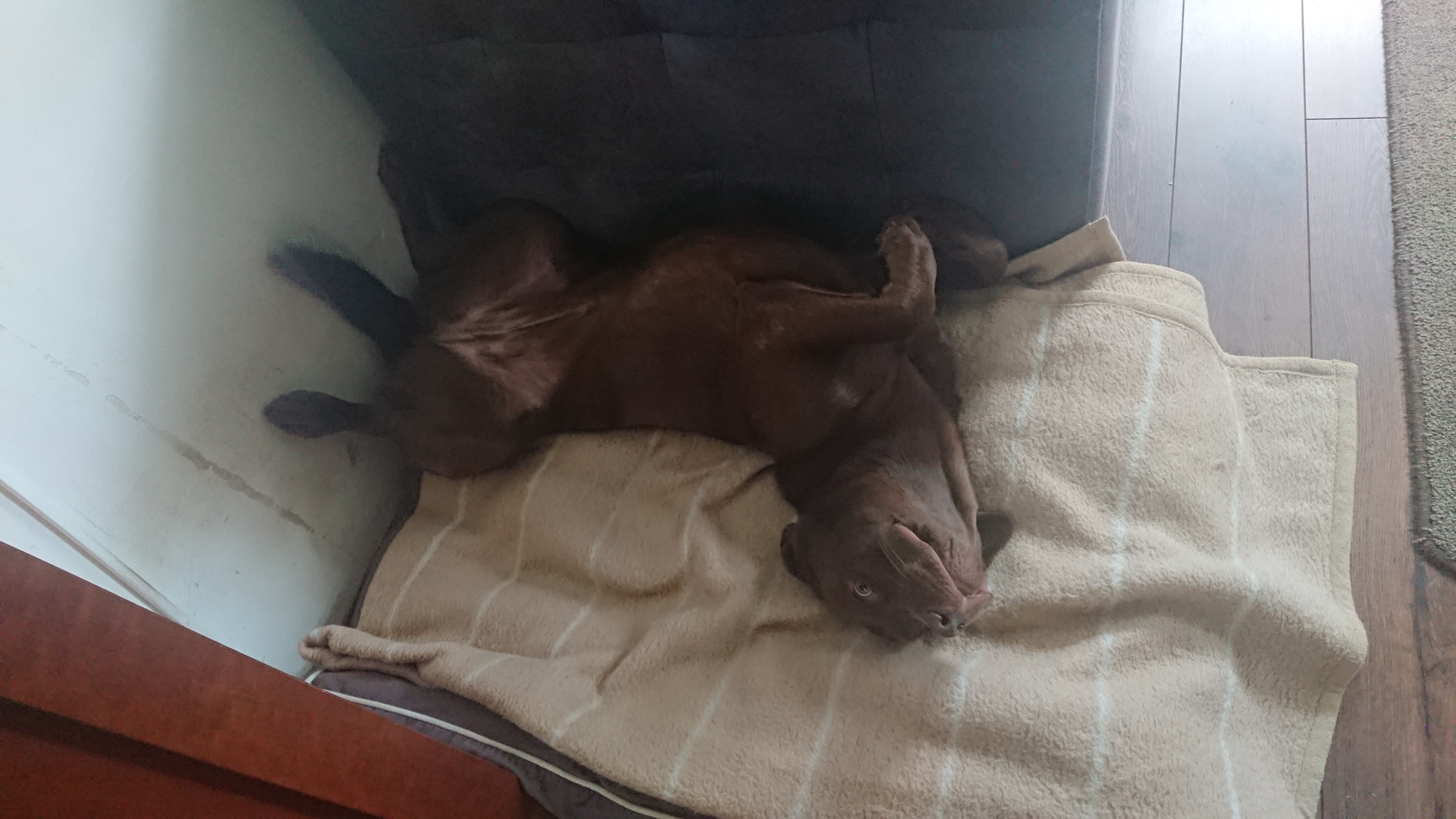 DSC 0525 renamed 29437