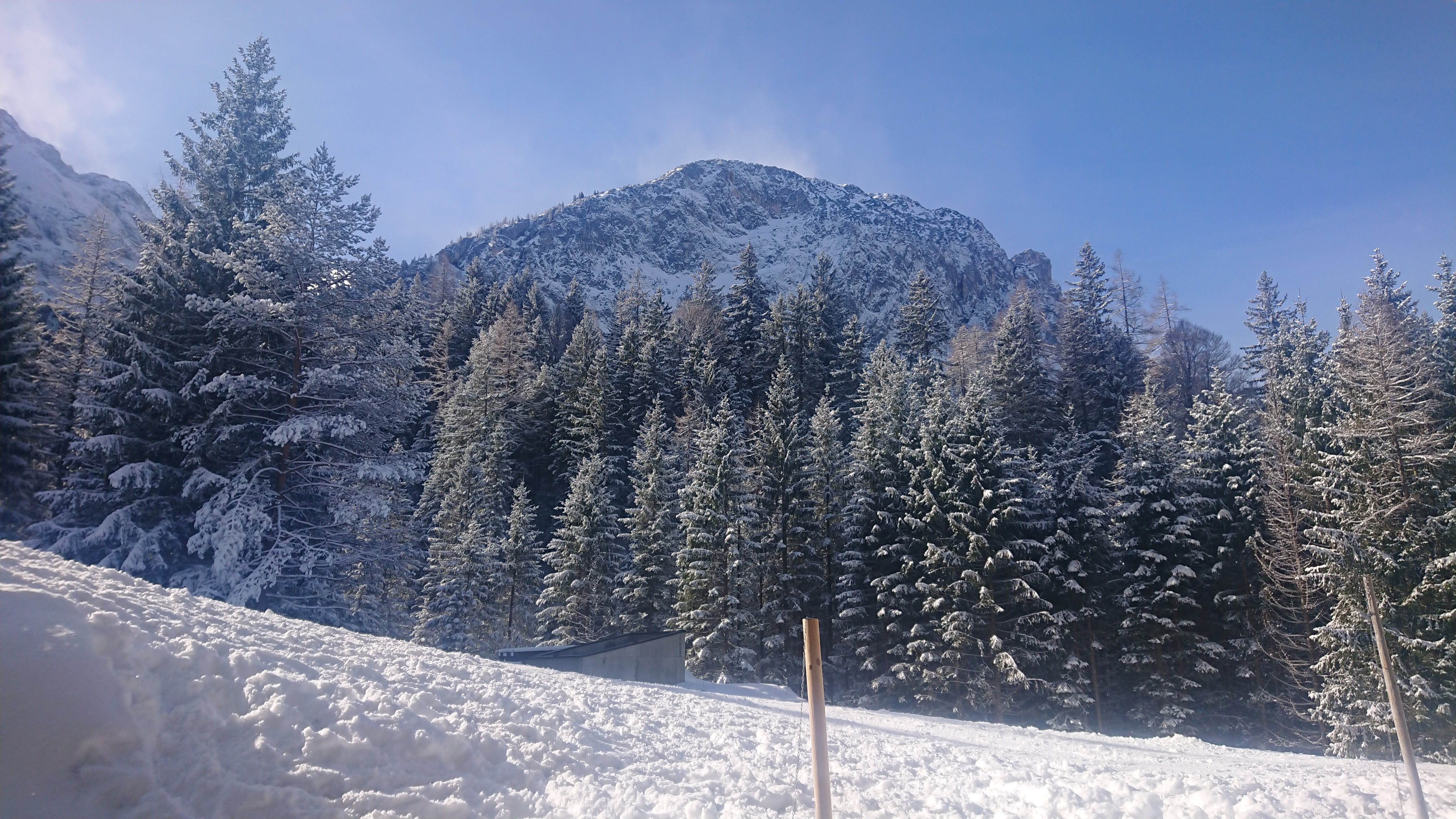 DSC 0702 renamed 6283