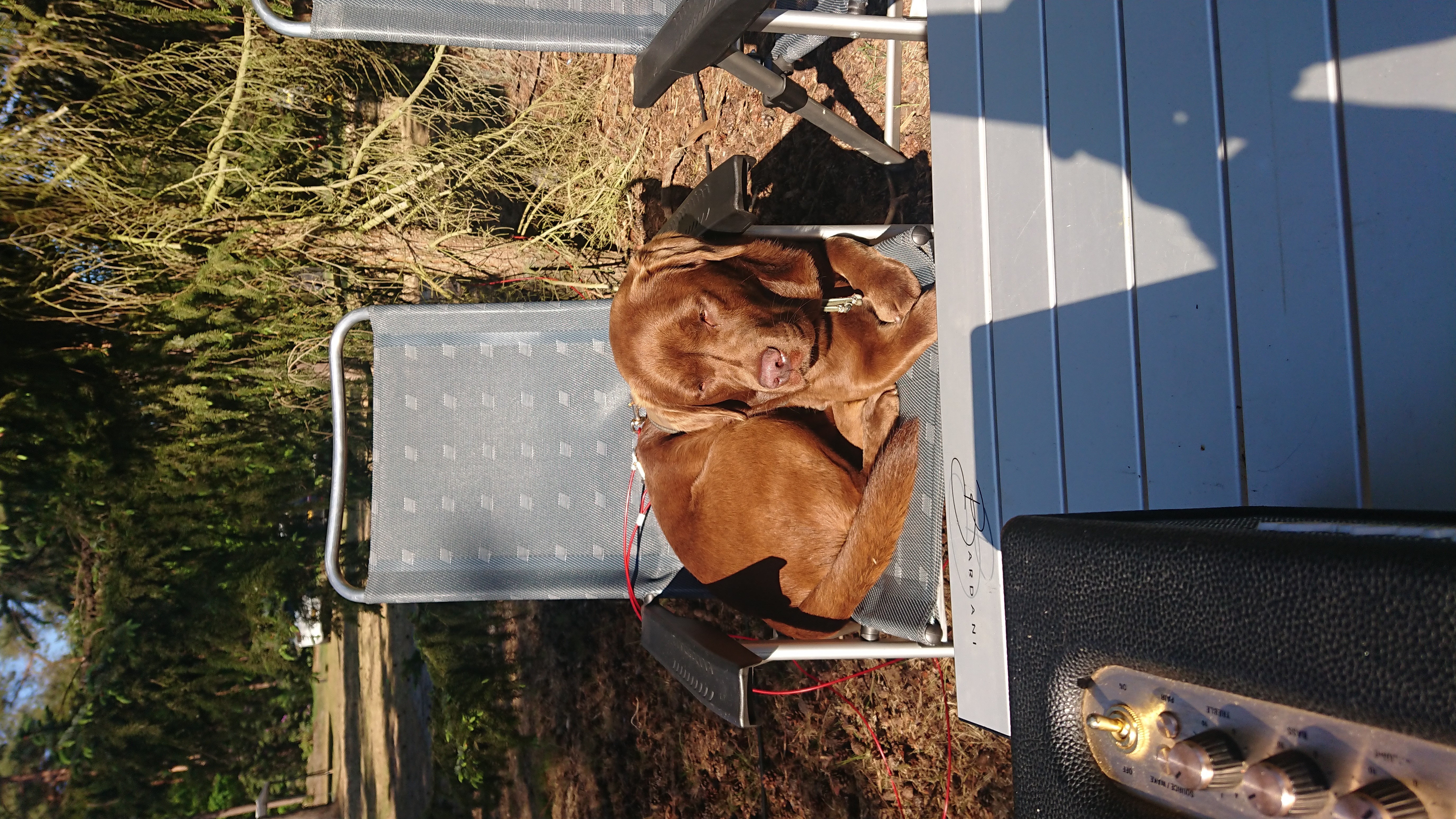 DSC 0907 renamed 30700