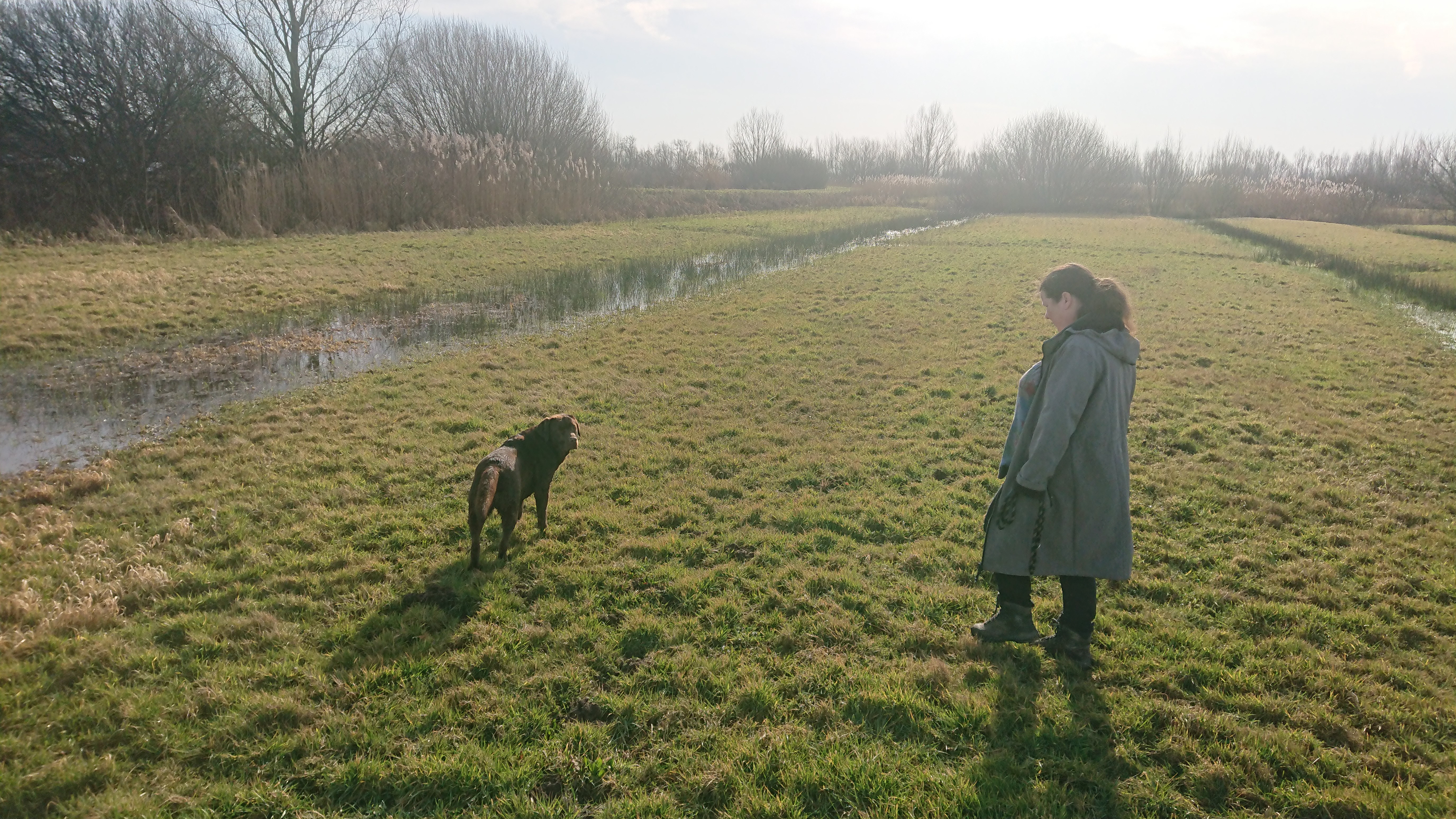 DSC 0262 renamed 30368