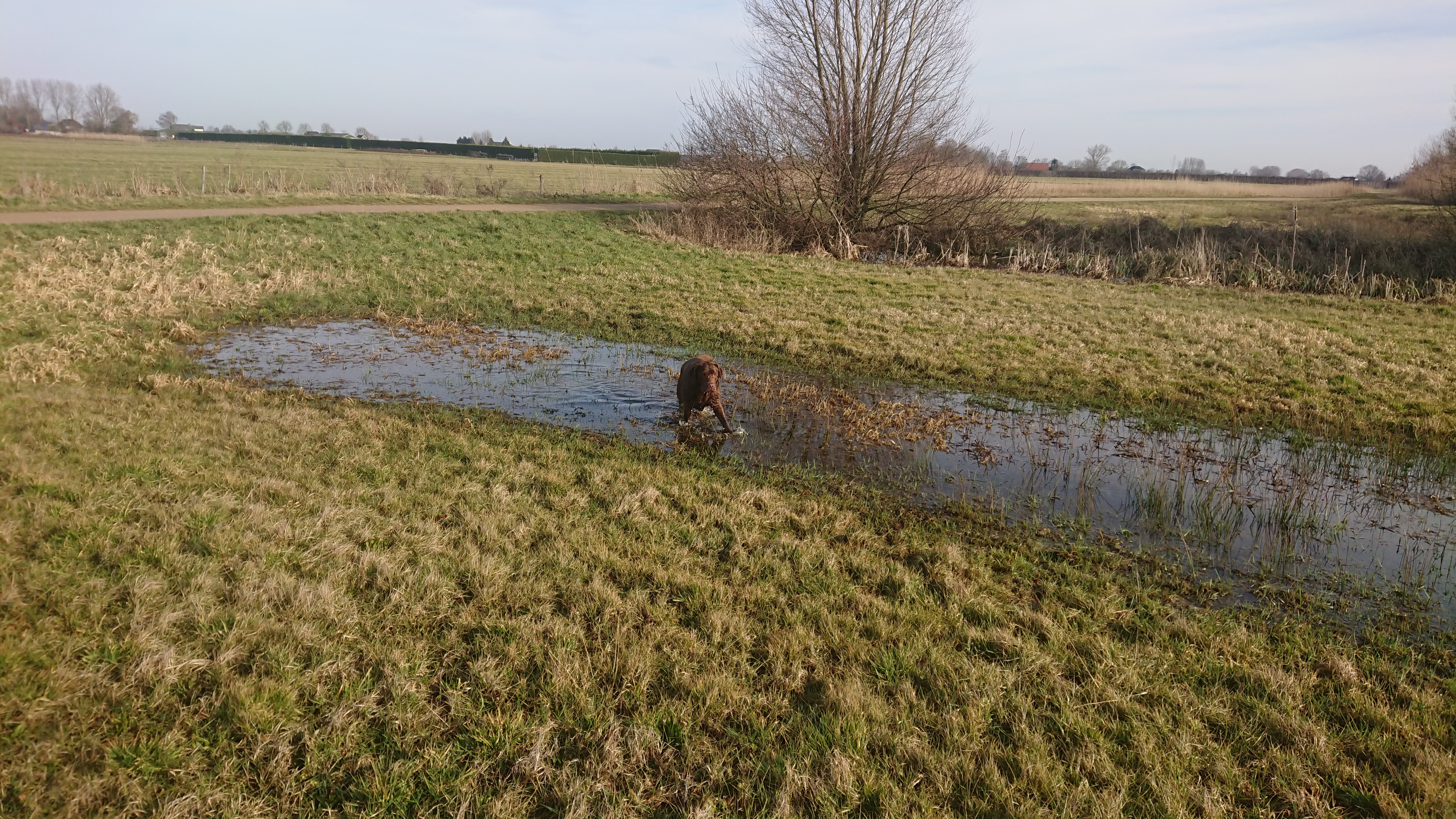 DSC 0263 renamed 5846