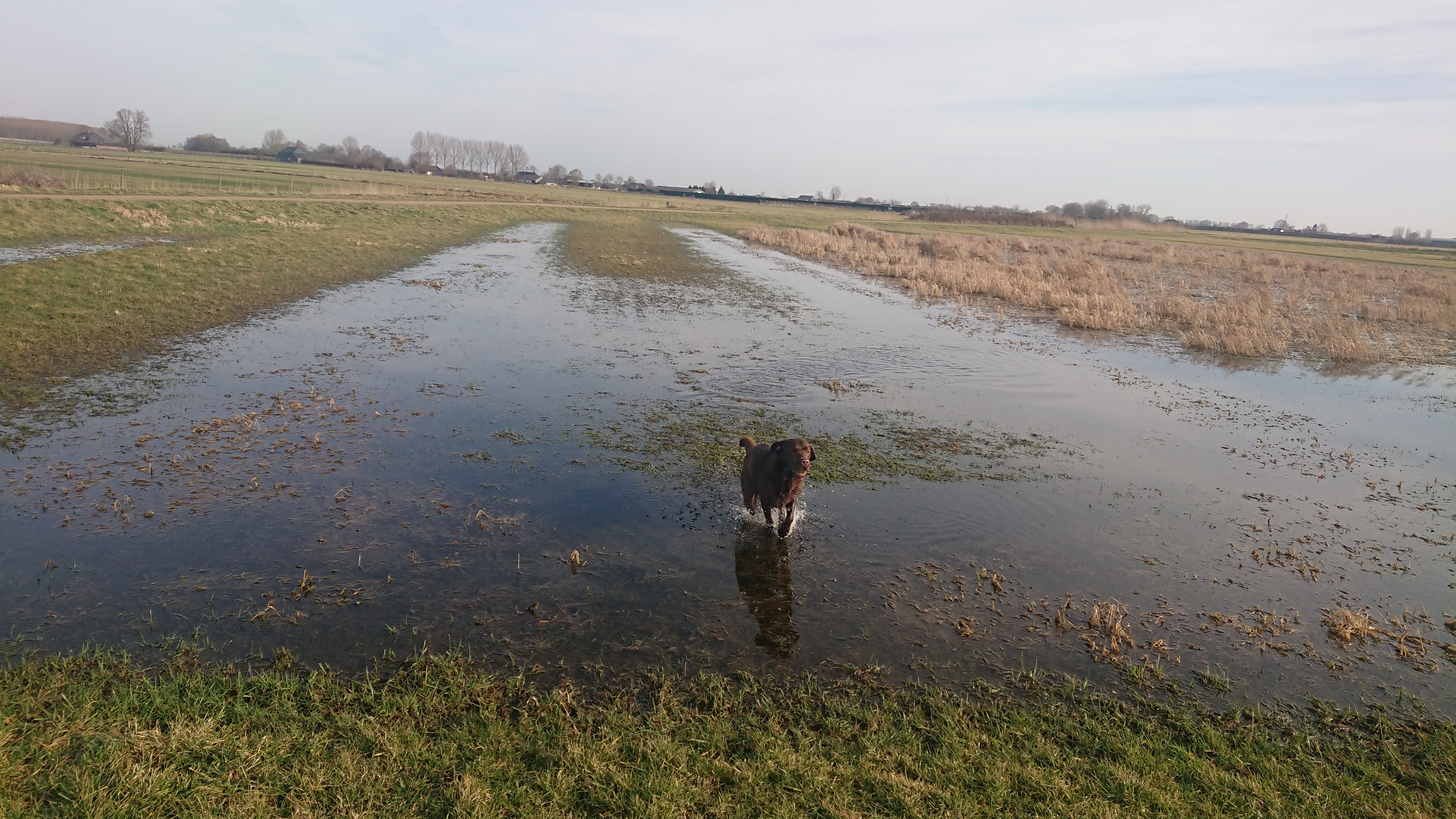 DSC 0299 renamed 29501