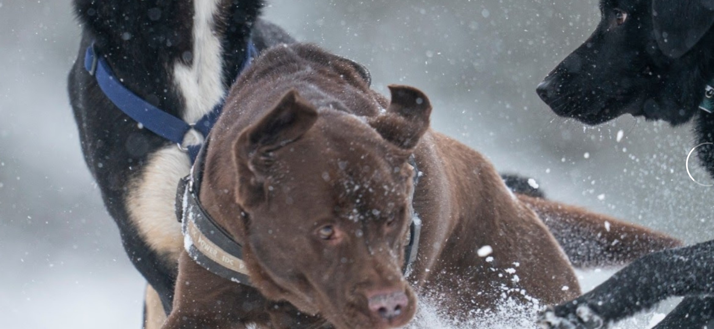 Screenshot 20220208 131014